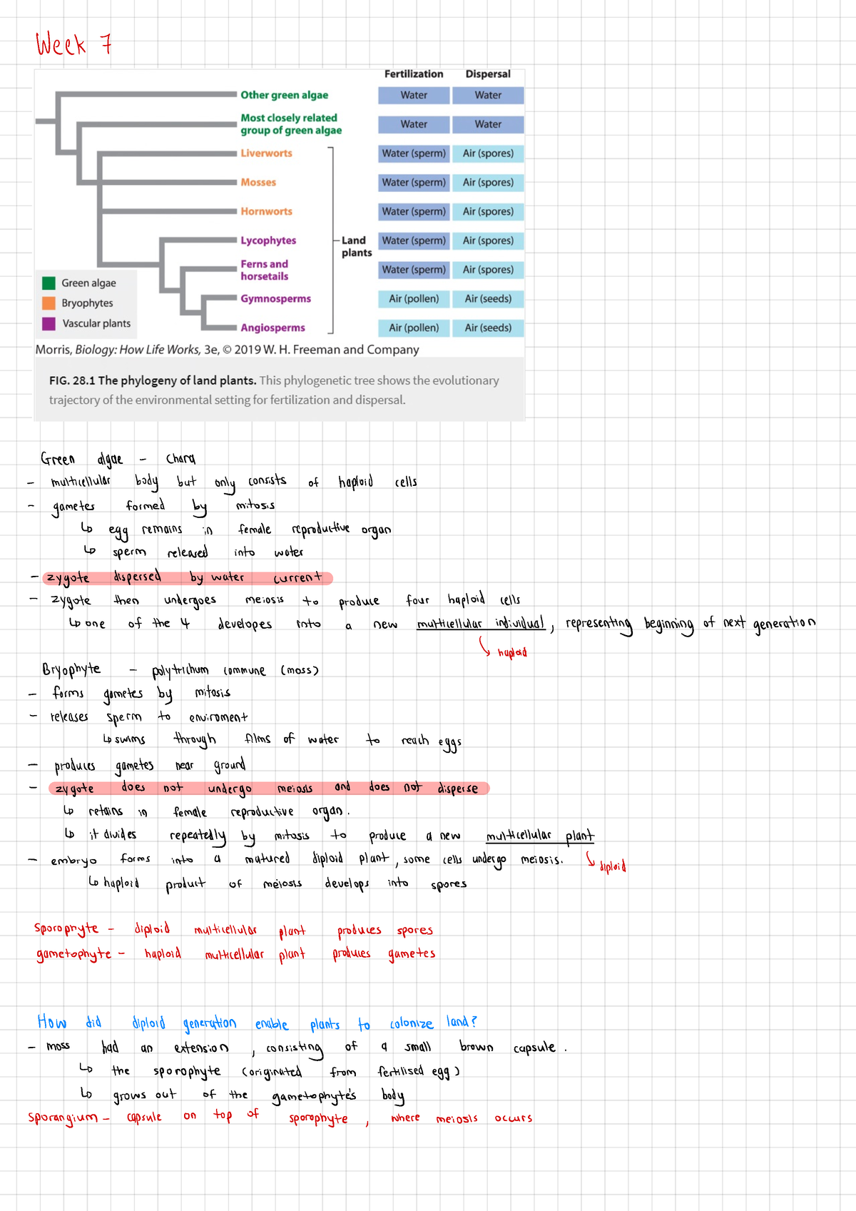 Week 7 - Concise And Summarized Notes For Bio 1022 Week 7 Content Notes ...