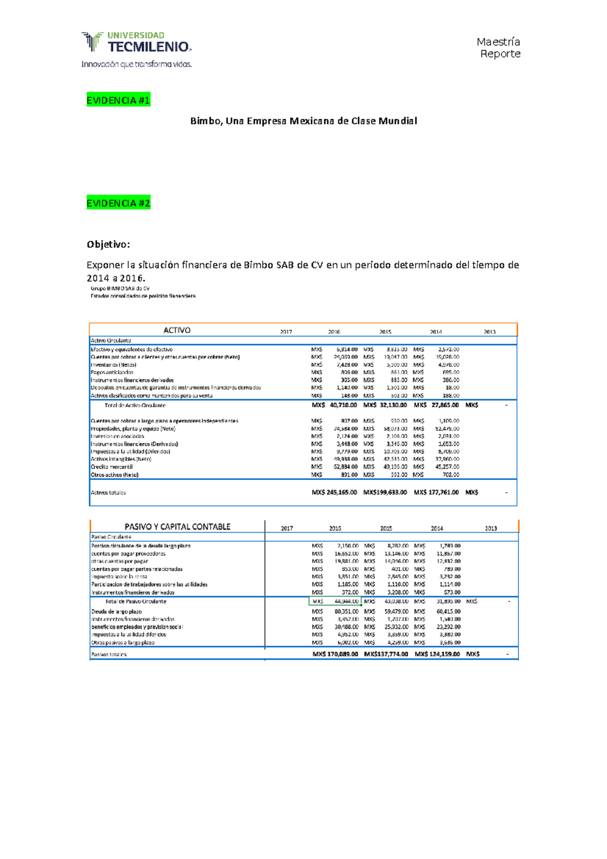 Evidencia #2 - Parte 3 - Analisis financiero Bimbo 2 - Reporte ...