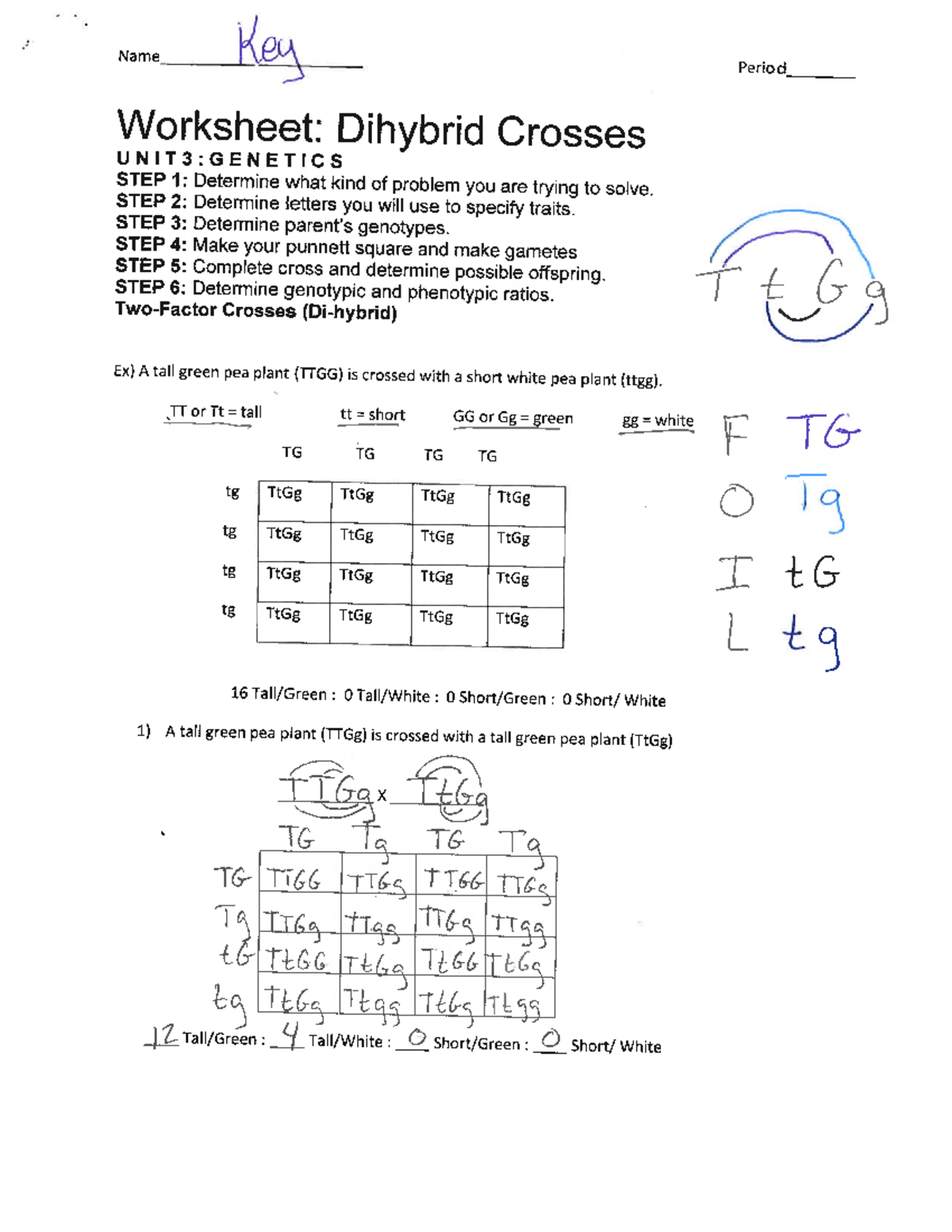 Dihybrid practice ws answer key - BIOC 410 - Studocu