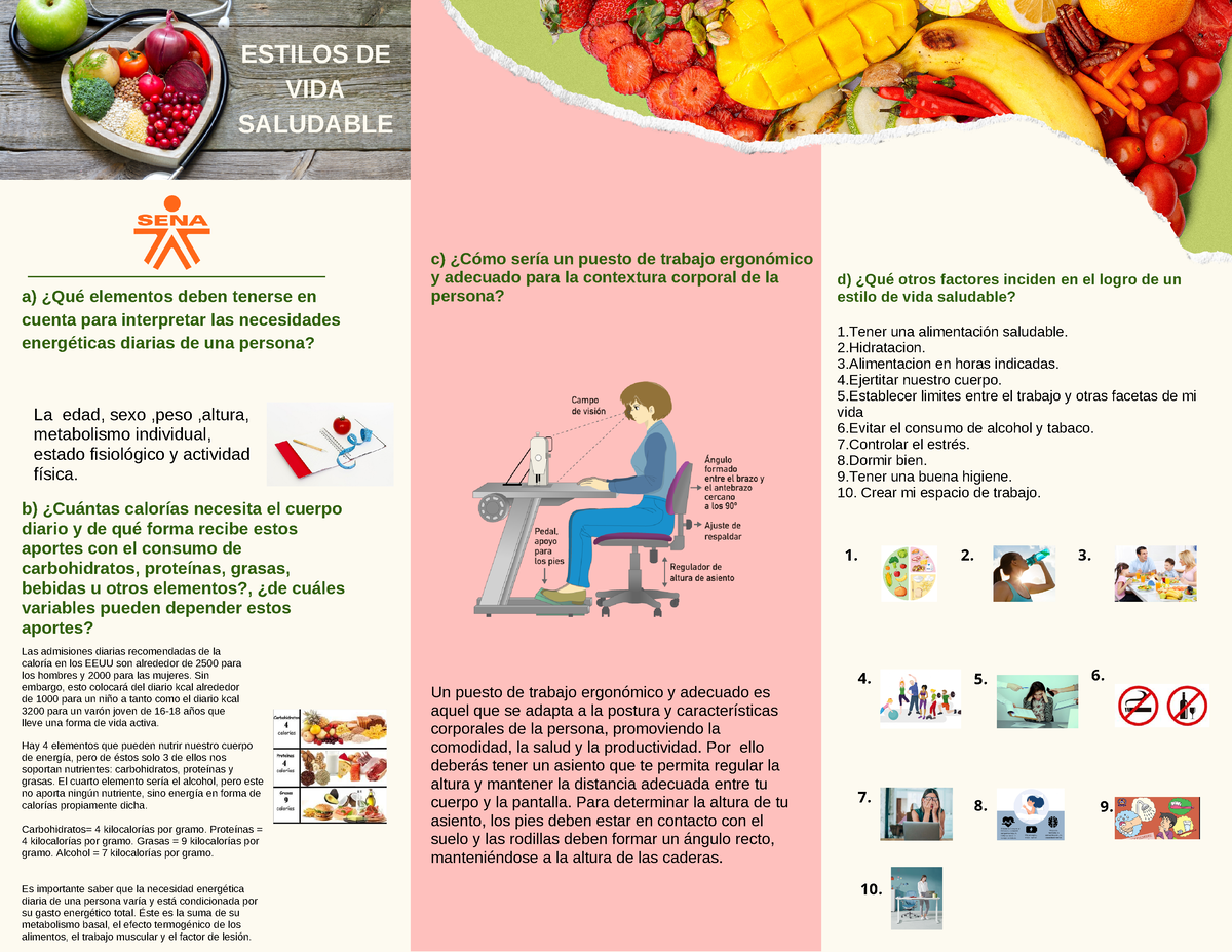 Estilos De Vida Saludable Completo Estilos De Vida Saludable A ¿qué Elementos Deben Tenerse 9788