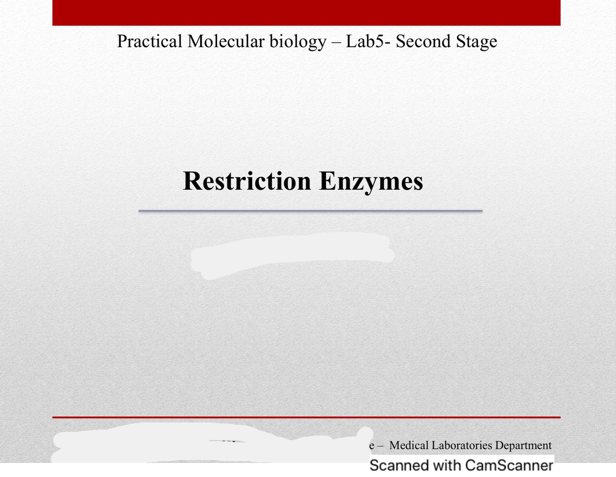 Lab 5-Restriction Enzymes - Molecular Biology - Studocu