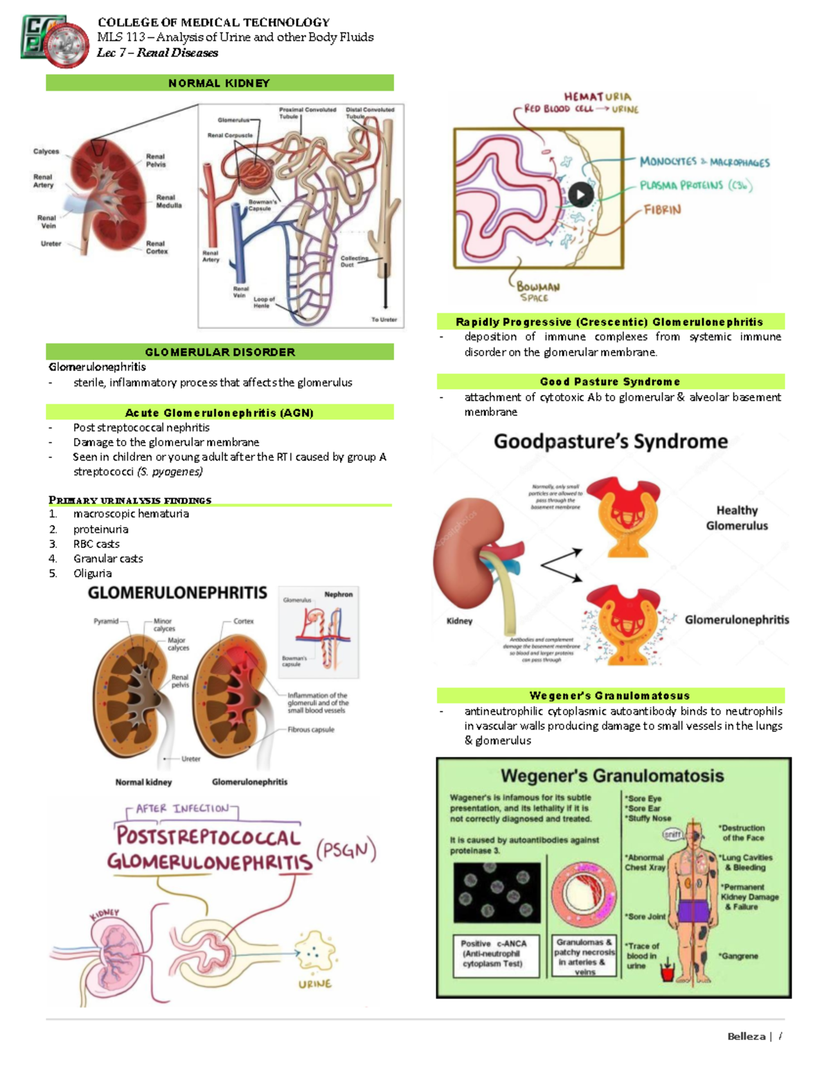 Aubf-7 - Aubf lectures - MLS 113 – Analysis of Urine and other Body ...