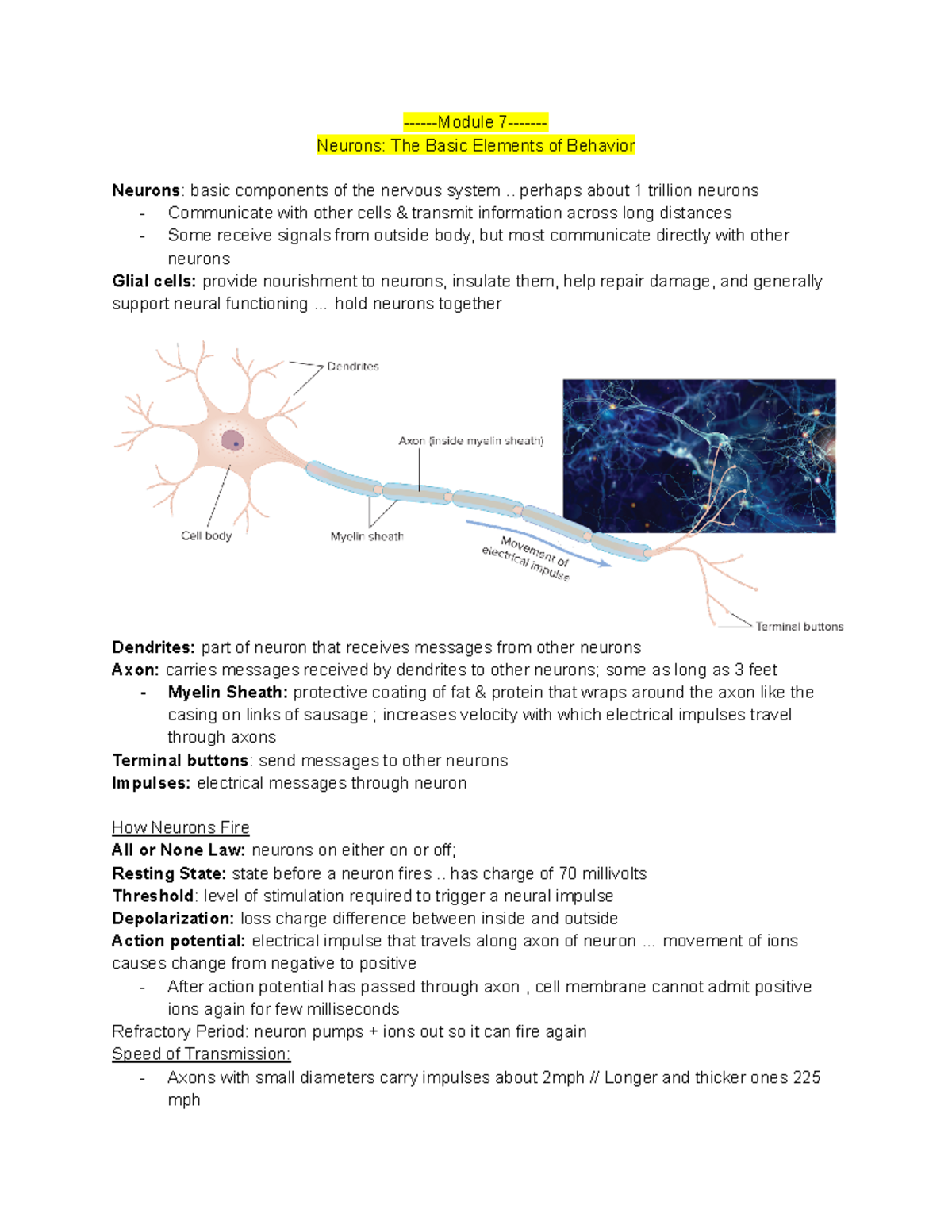 Neuroscience Notes -Module 7- Neurons: The Basic Elements of Behavior ...