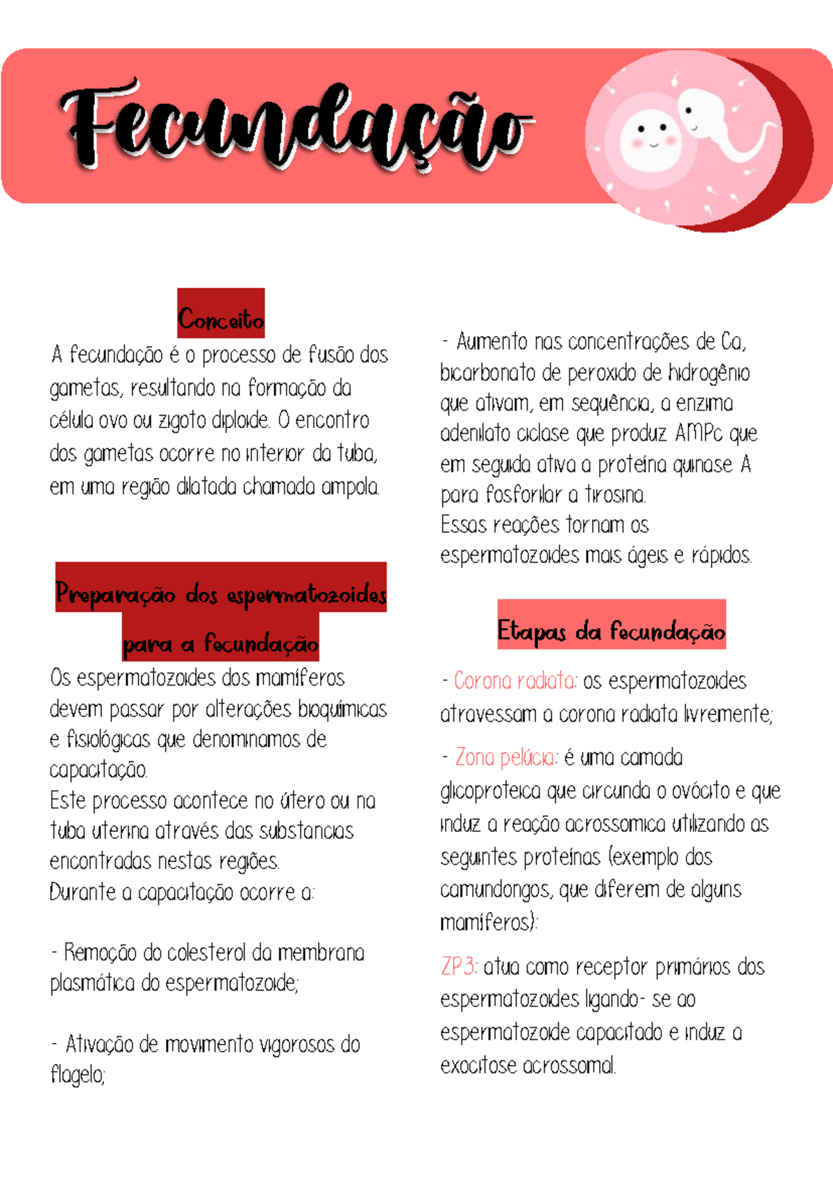 AULA 4 ( Fecundação) - Conceito A fecundação é o processo de fusão dos ...