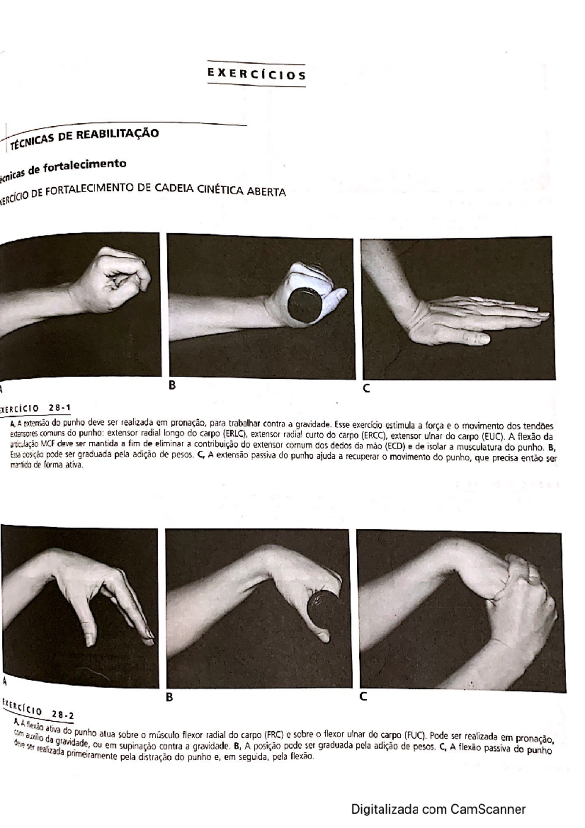 Exercícios para punho e mãos - Prentice e Voight 2003 - Cinesioterapia ...