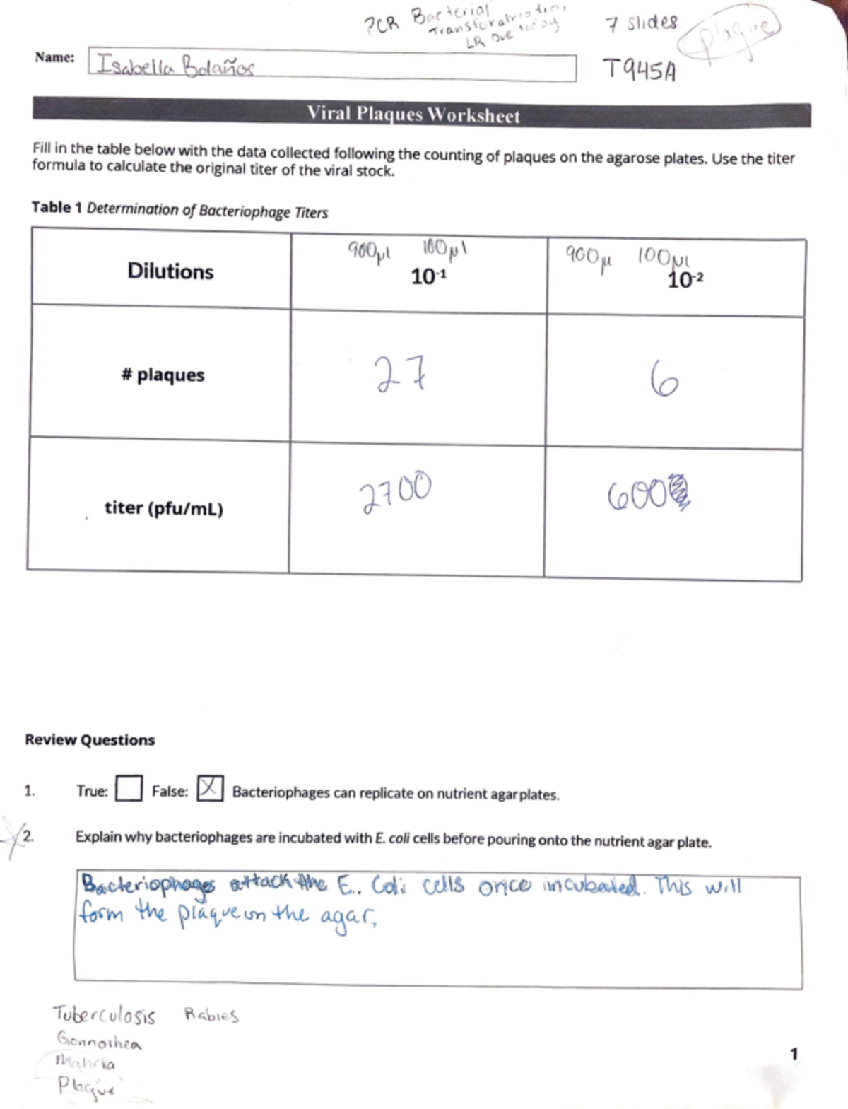 Viral plaque worksheet for microbiology 1 BIO215L GCU Studocu