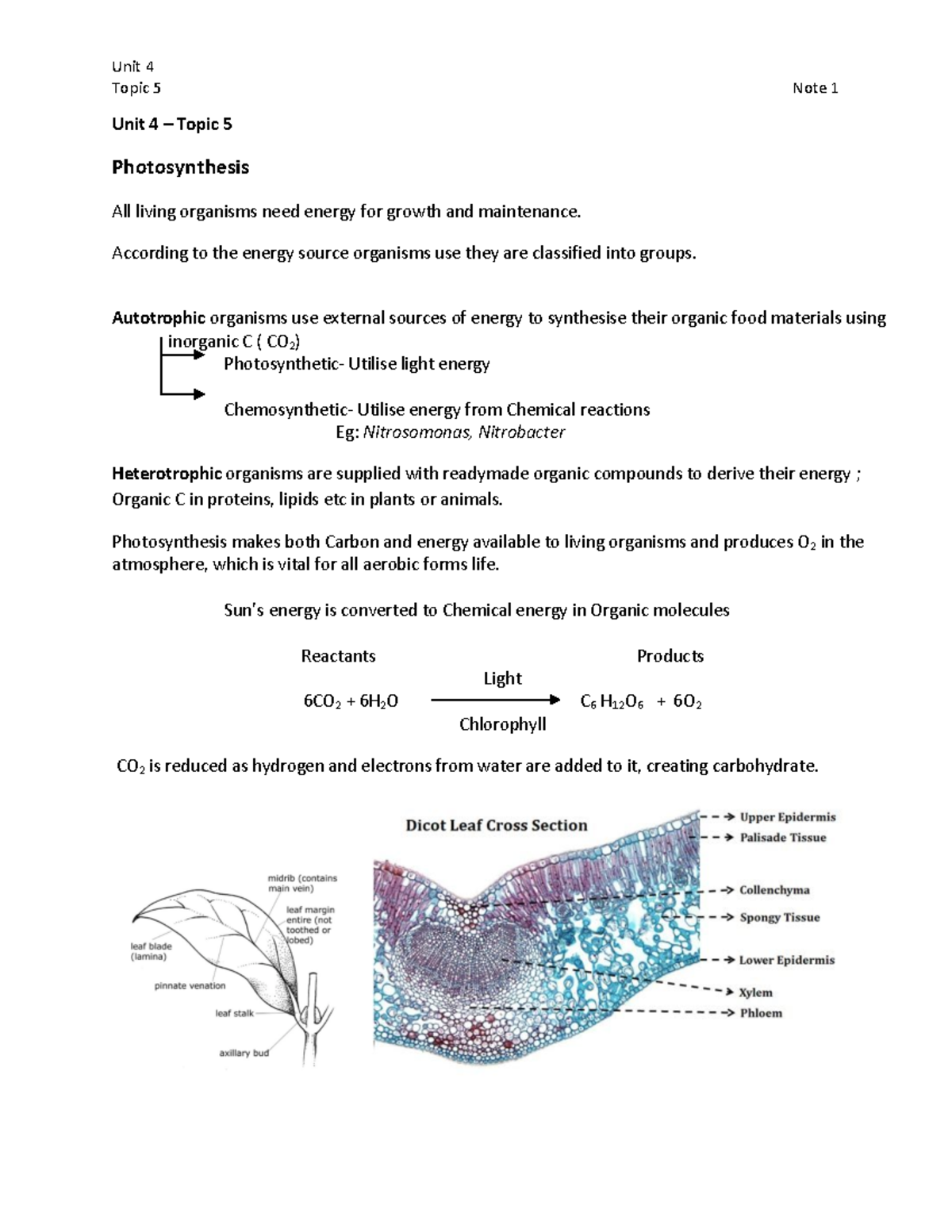 Note 1 Photosynthesis - Alevels notes biology - Topic 5 Note 1 Unit 4 ...