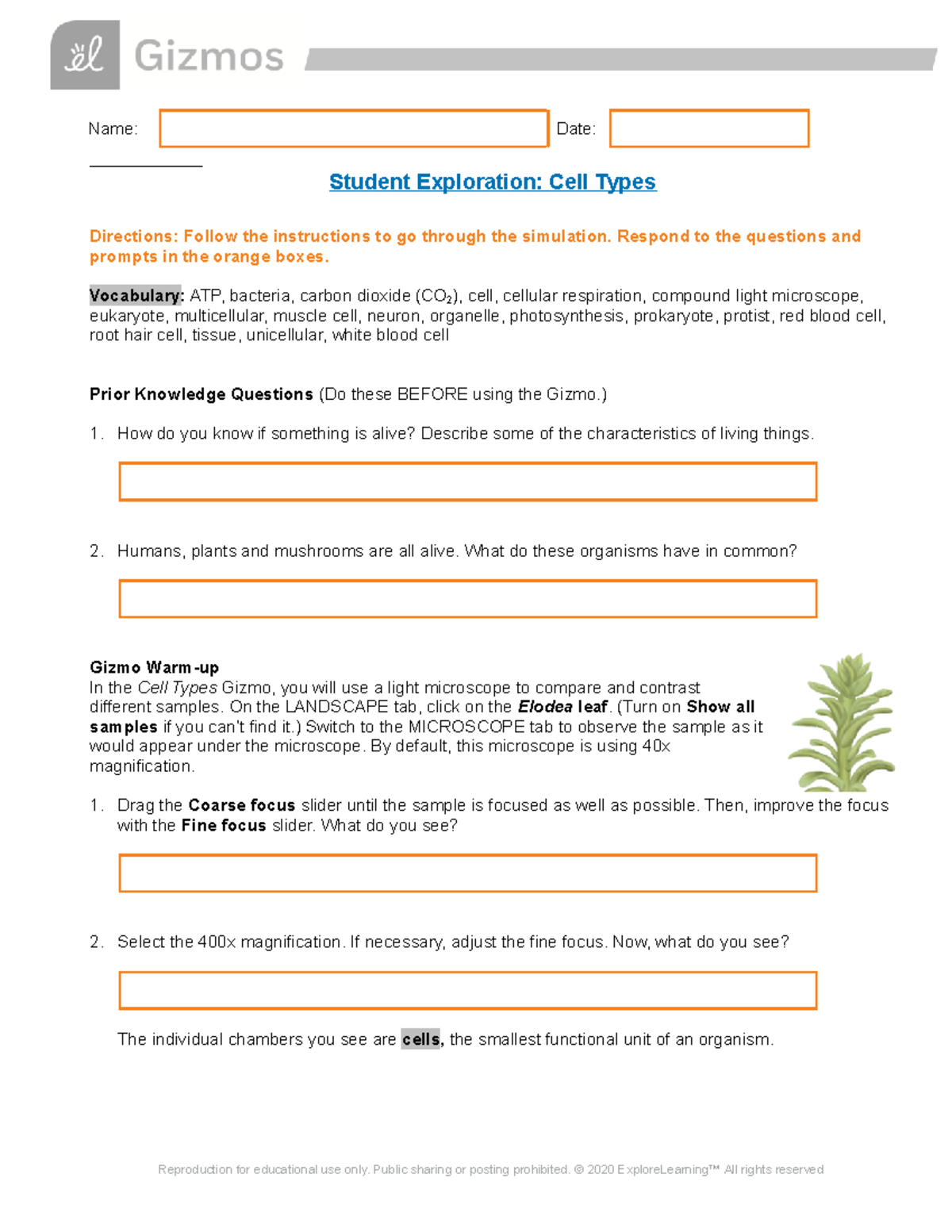 Copy Of Cell Types SE - Yea - Name: Date: Student Exploration: Cell ...