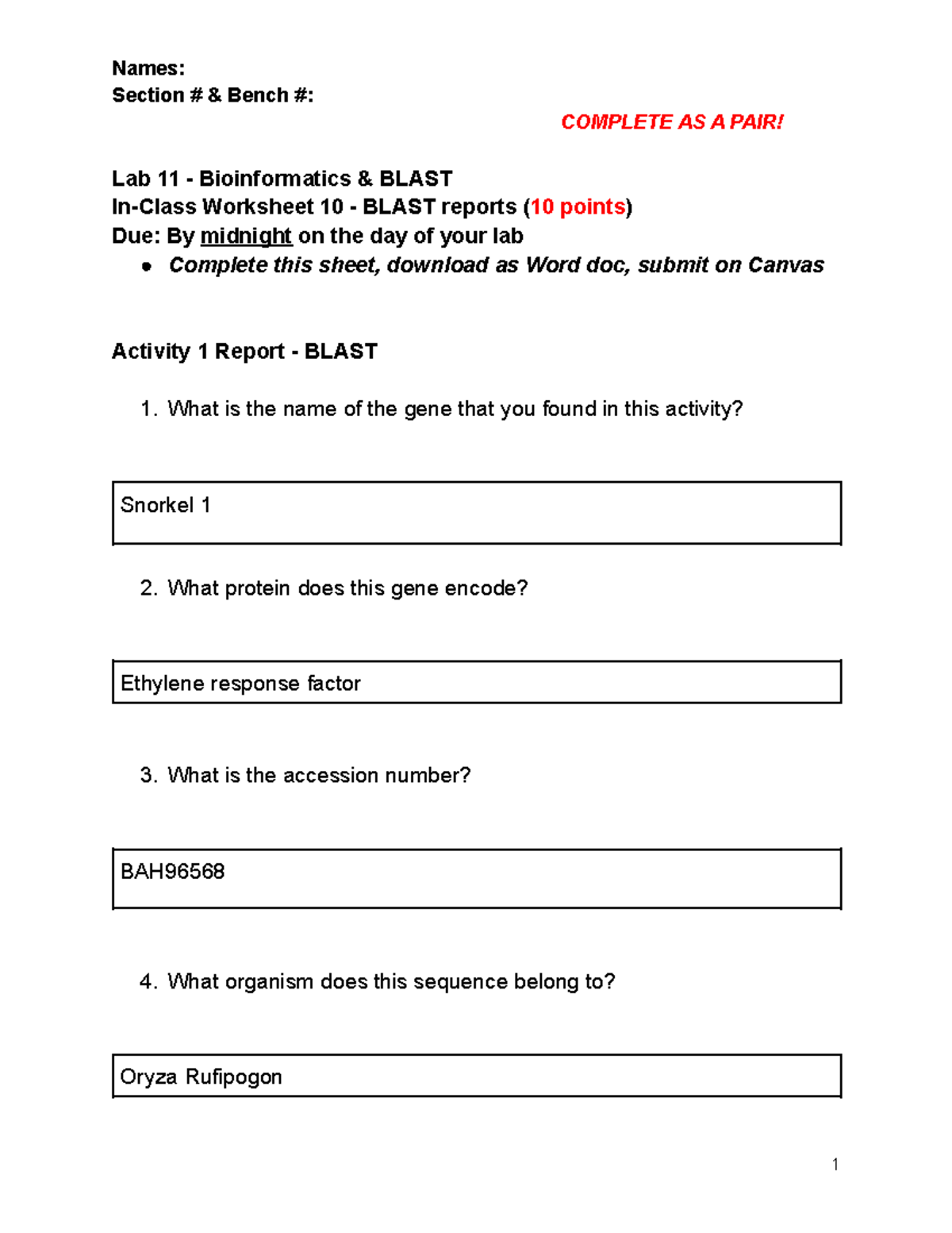 copy-of-in-class-worksheet-10-blast-section-bench-complete