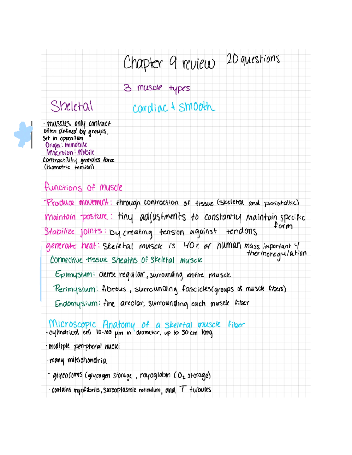 Chapter 9 Muscle and Muscle Tissue Study Guide - Anaerobic respiration ...