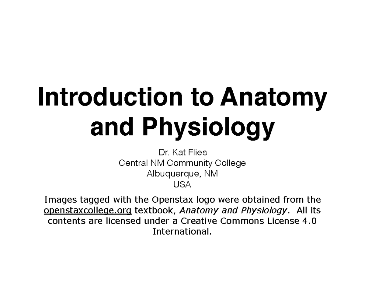 Anp1 Anatomy And Physiology Chapter 1 To Do Introduction To Anatomy