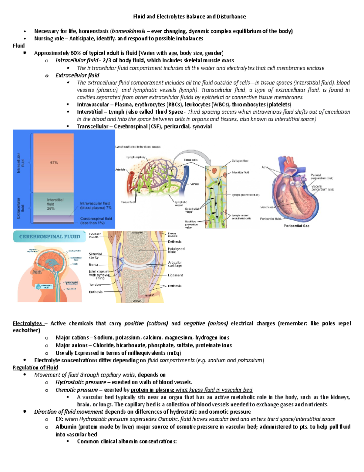 Fluid and Electrolytes Balance and Disturbance - Fluid and Electrolytes ...