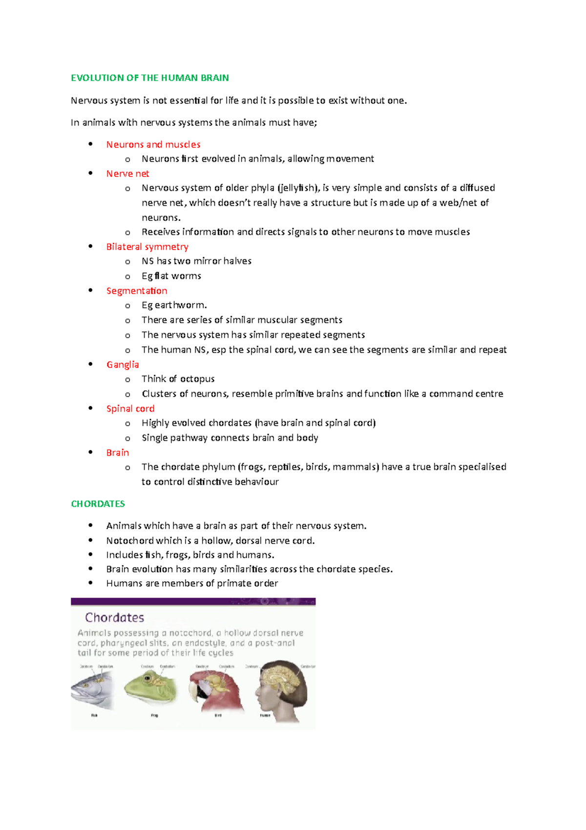 Module One i Lecture Notes - EVOLUTION OF THE HUMAN BRAIN Nervous ...