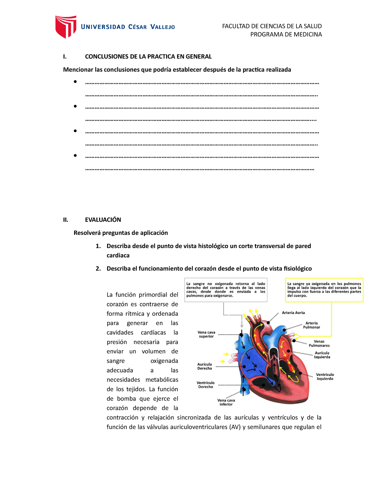 GUIA Practica DE Histologia SEM 8 - GUIA 8 A - FACULTAD DE CIENCIAS DE ...