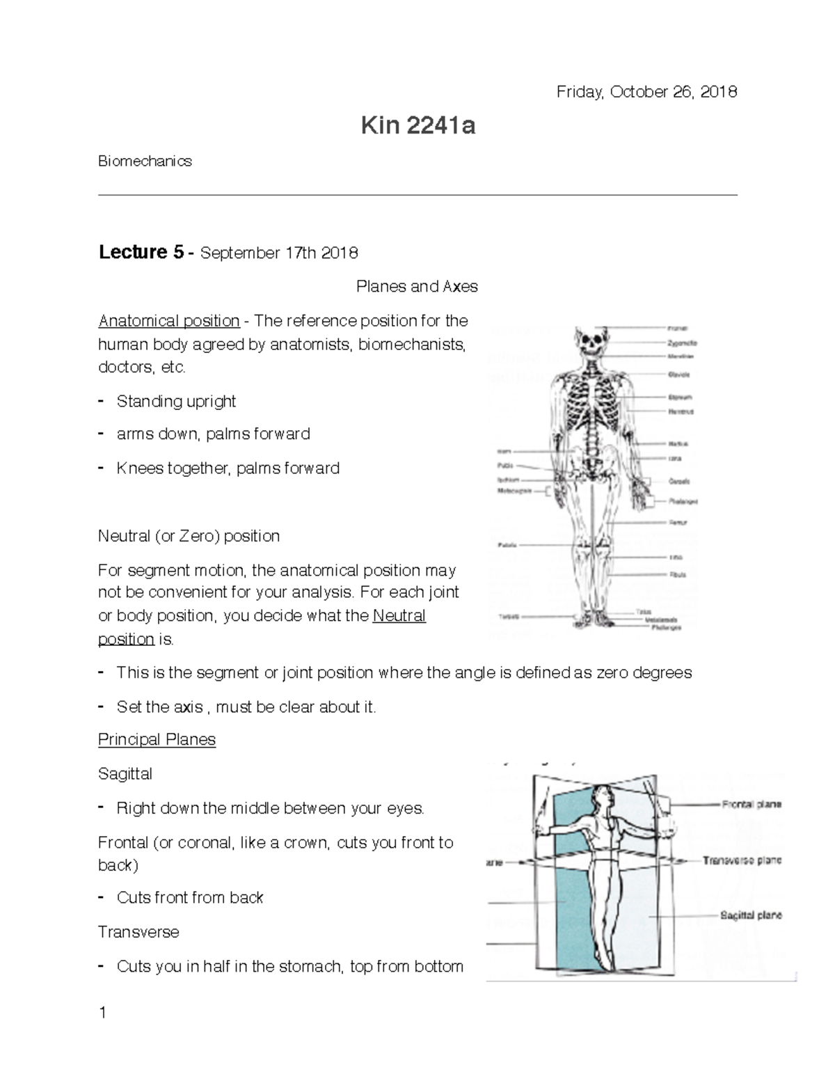 Biomechanics 2241 Lecture Notes - Friday, October 26, 2018 Kin 2241a ...