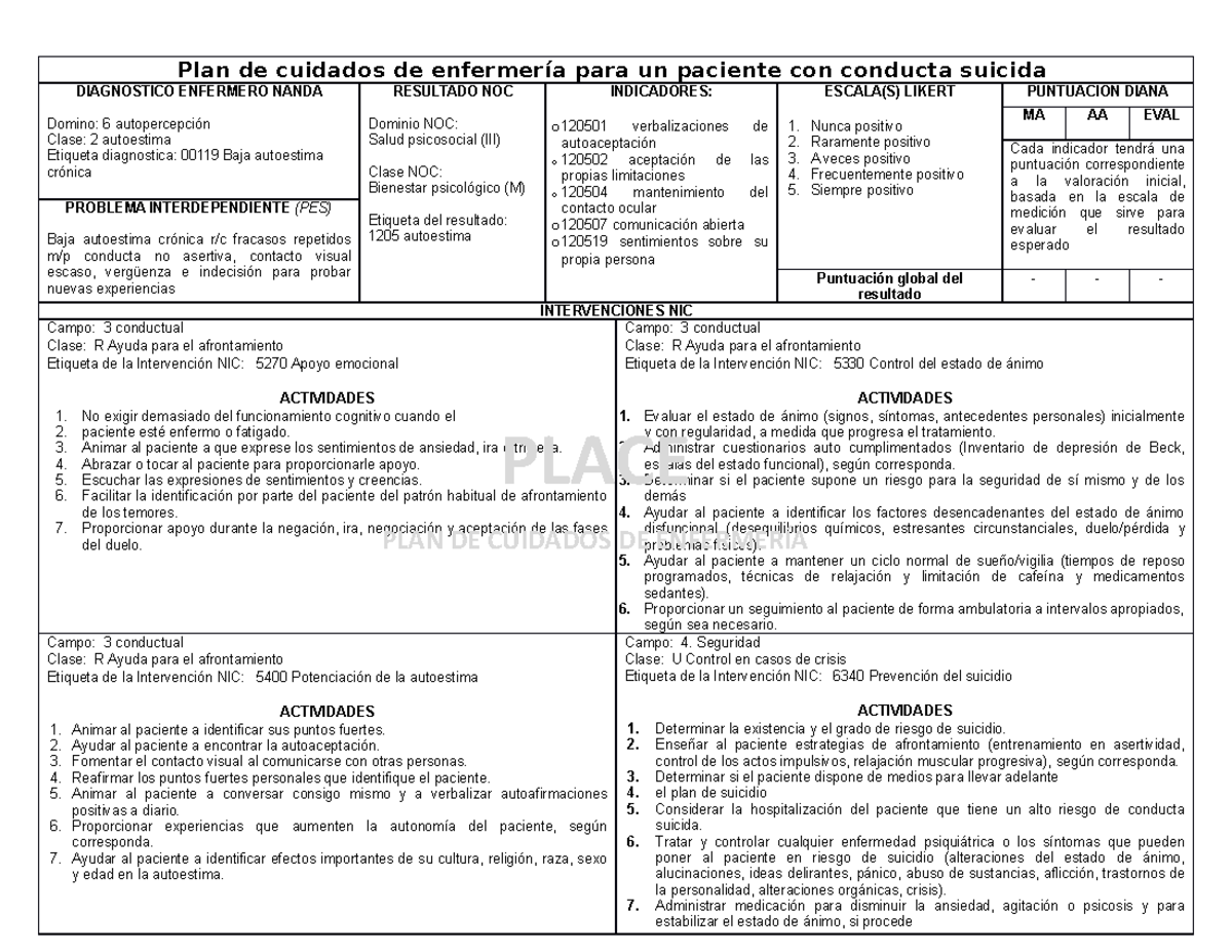 Plan de cuidados de enfermería (PLACE) de conducta suicida