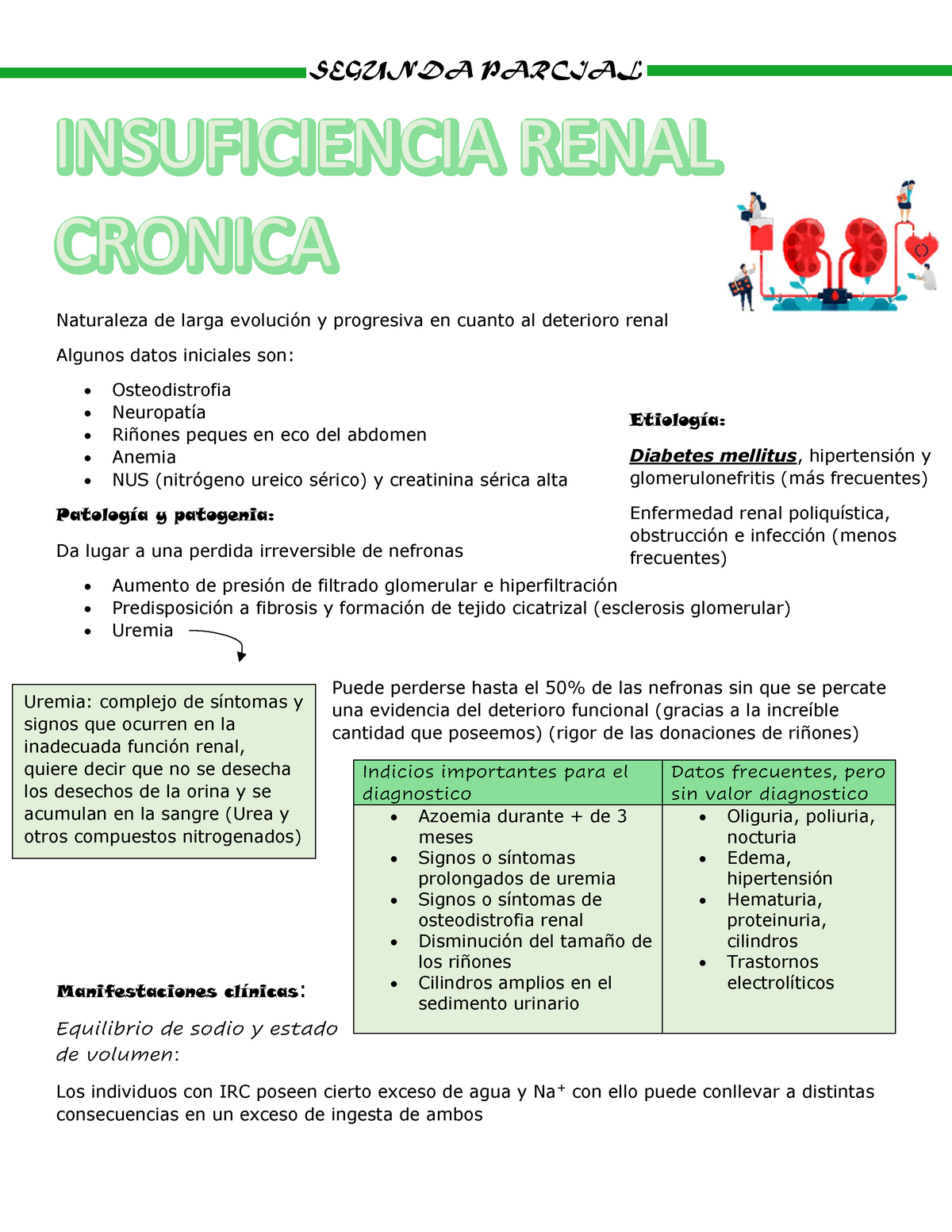 Insuficiencia Renal Cronica Segunda Parcial Naturaleza De Larga