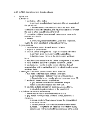 Chapter 12 notes - Susan Hines - ch 12 (UA f13) Nervous System overview ...