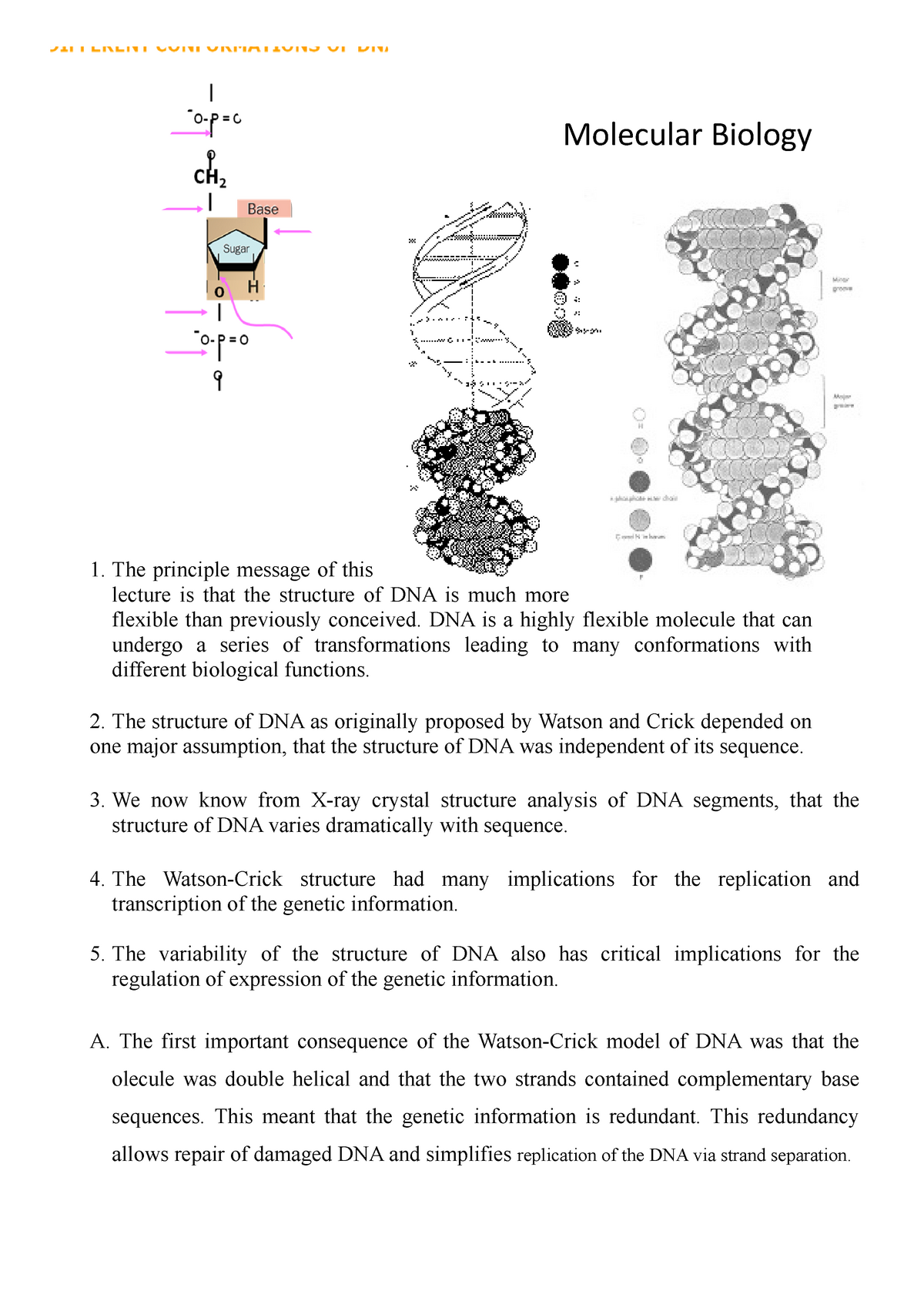 Advanced Molecular Biology Molecular Biology The Principle Message Of   Thumb 1200 1698 