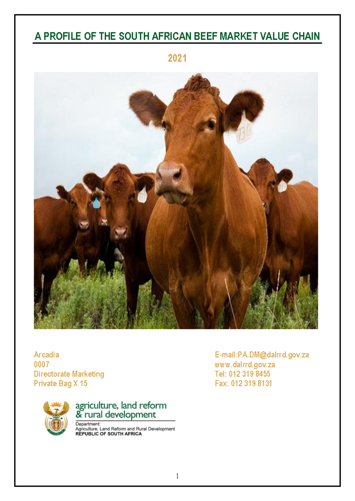 Beef Market Value Chain Profile 2021 - A PROFILE OF THE SOUTH AFRICAN ...