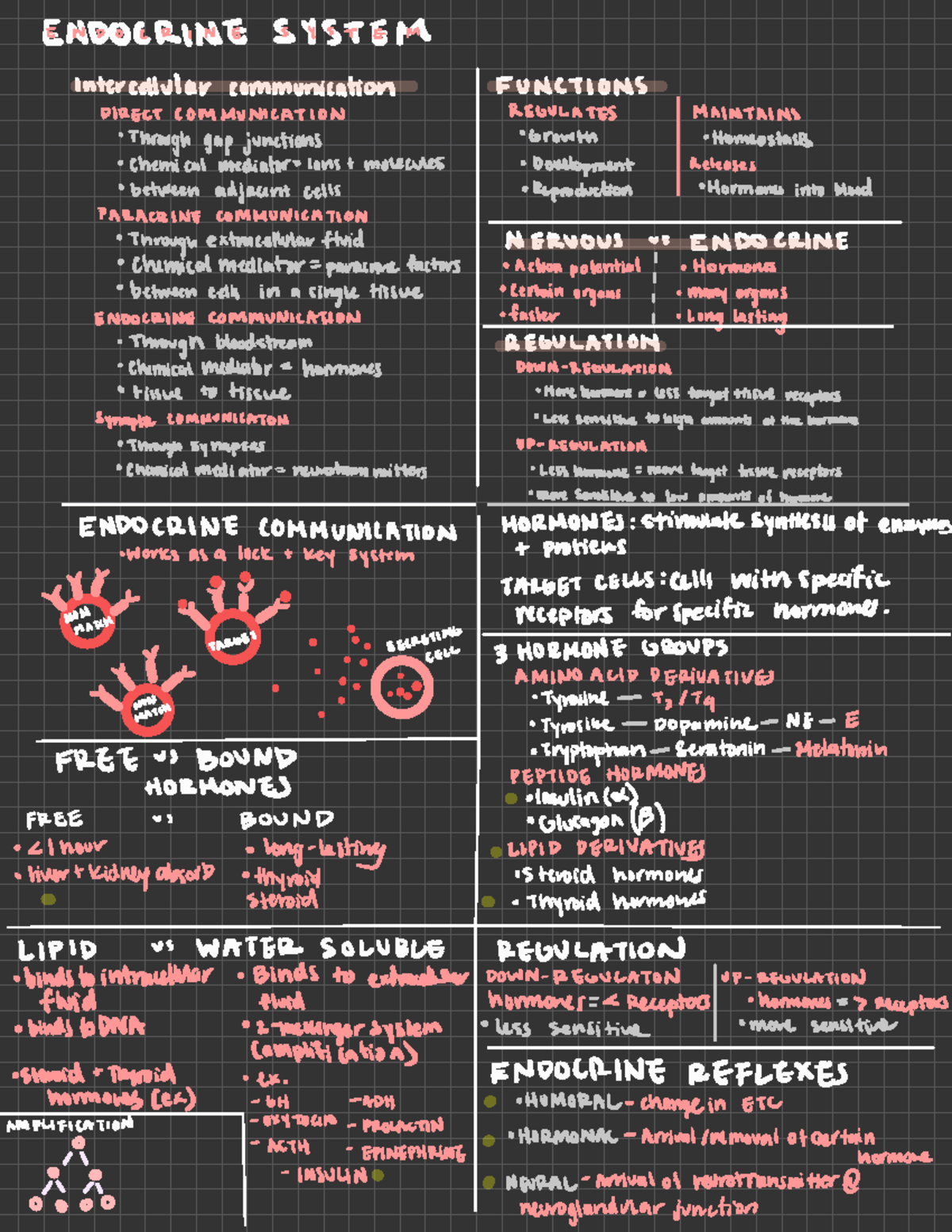 BIO 202 Notes - ENDOCRINE SYSTEM Intercellular communication FUNCTIONS ...