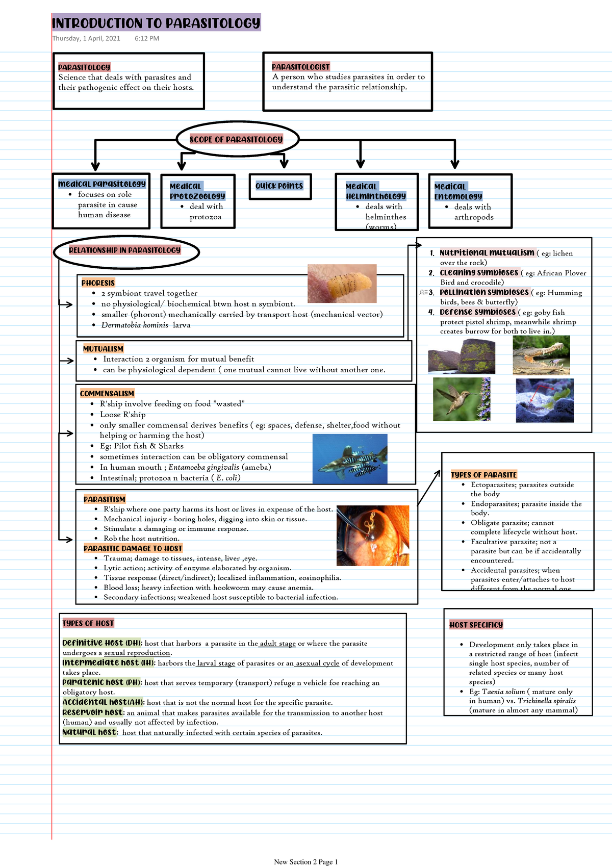 Chapter 1: Introduction To Parasitology, Concept Of Parasitology ...