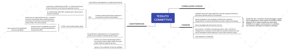 mappa concettuale del tessuto connettivo