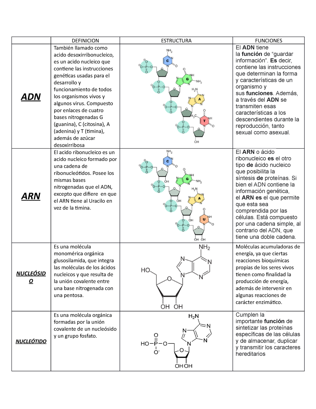 Acidos Nucleicos Tabla Comparativa Nucleotidos Y Nucleosidos Definicion Estructura Funciones