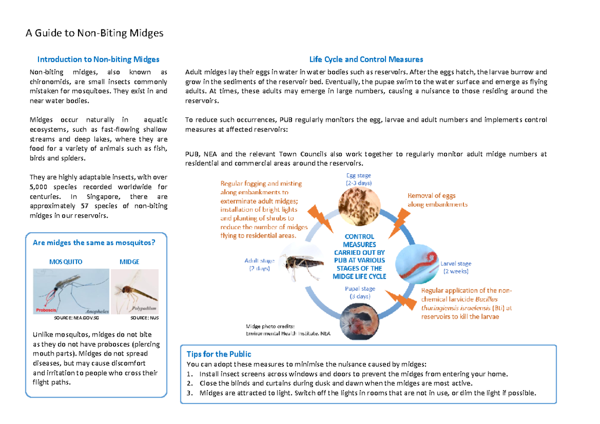 Midge webpage guide - A Guide to Non-Biting Midges Introduction to Non ...