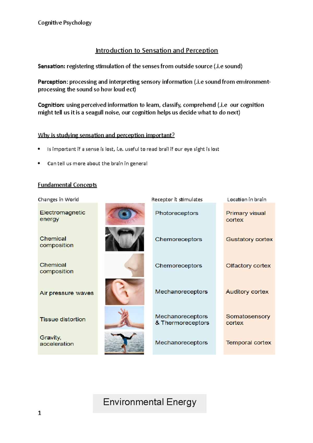 Introduction To Sensation And Perception - Introduction To Sensation ...