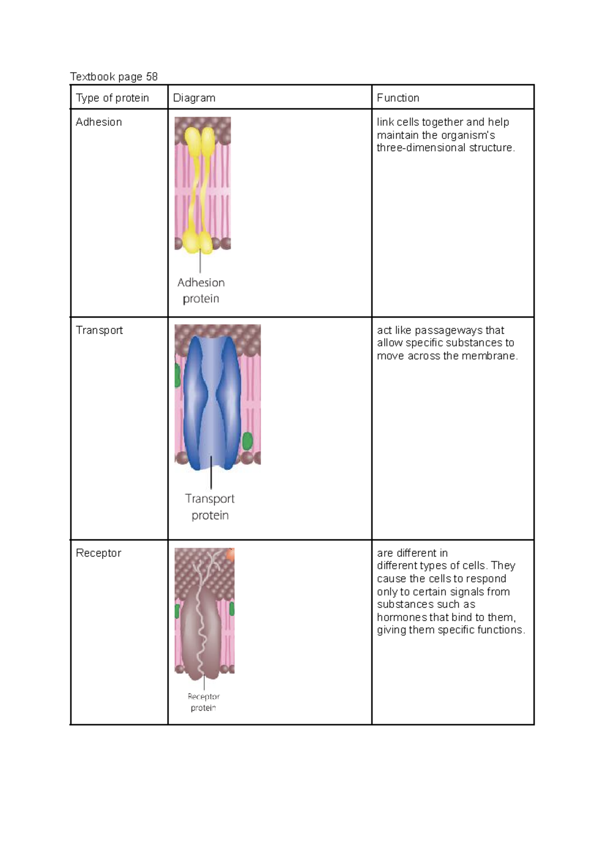 Transport across the membarne 23 07 and 24 07 - Textbook page 58 Type ...