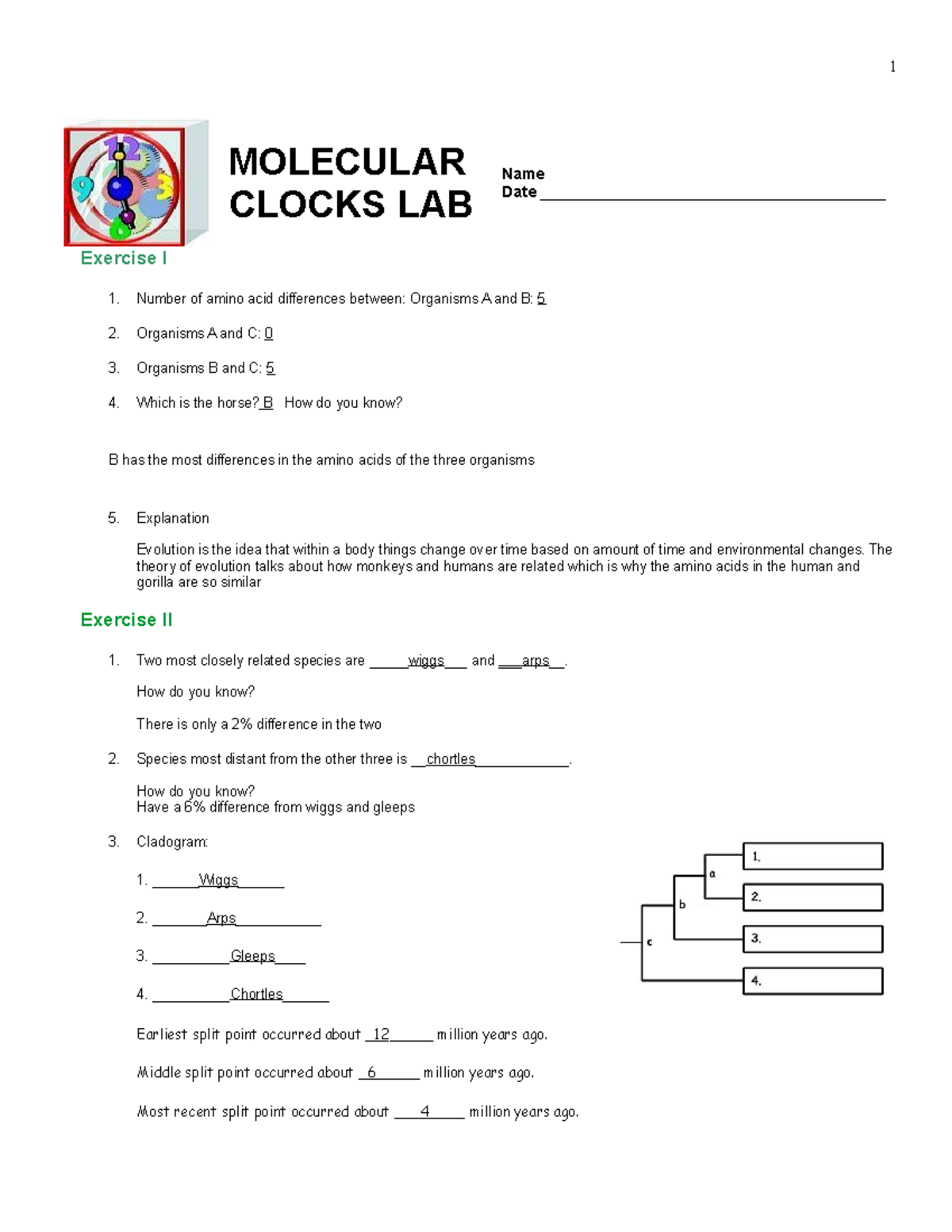 Savannah BullardDATA Sheet UNIT 3 Molecular Clocks BIO SEC 10 1