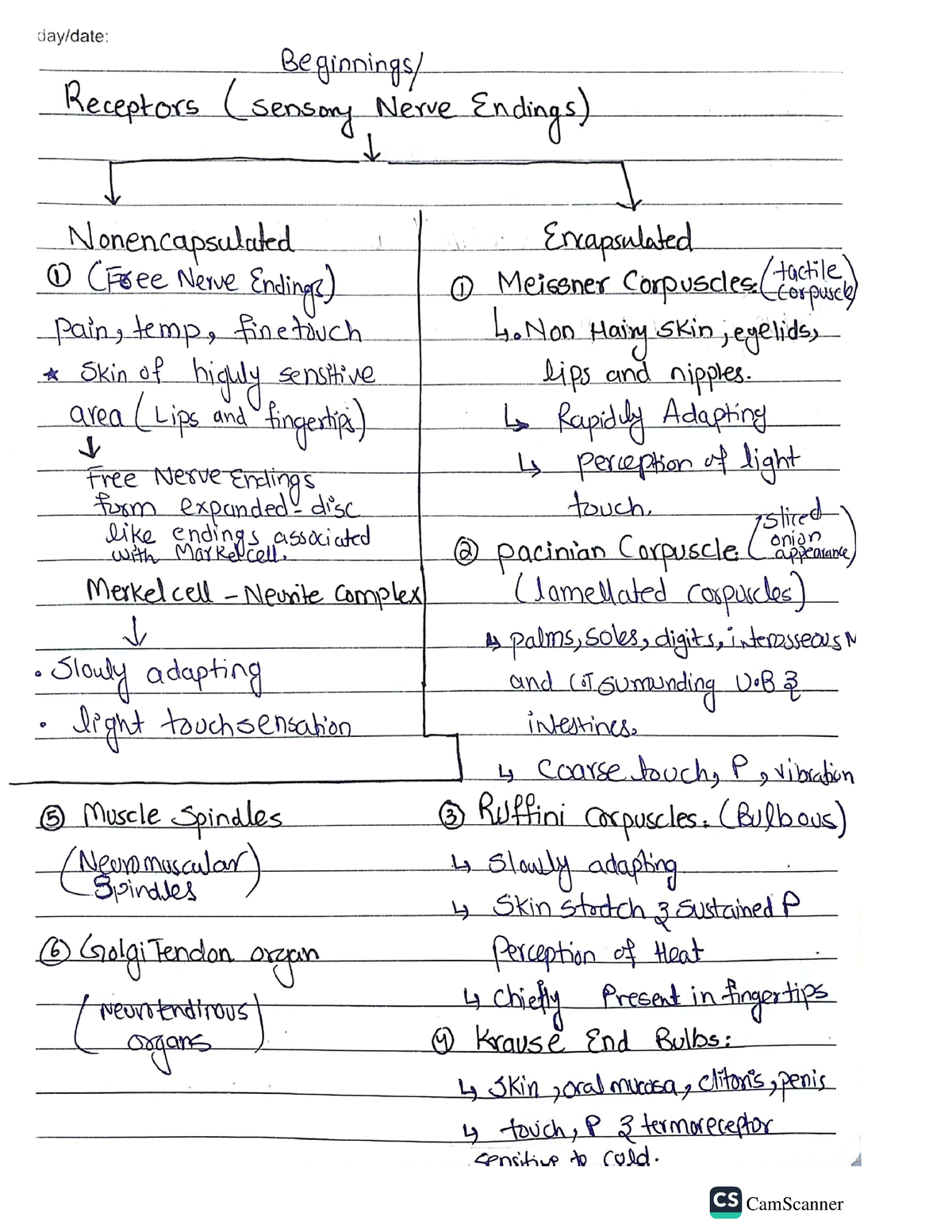 Mbbs Receptors - General Anatomy - CamScanner CamScanner - Studocu