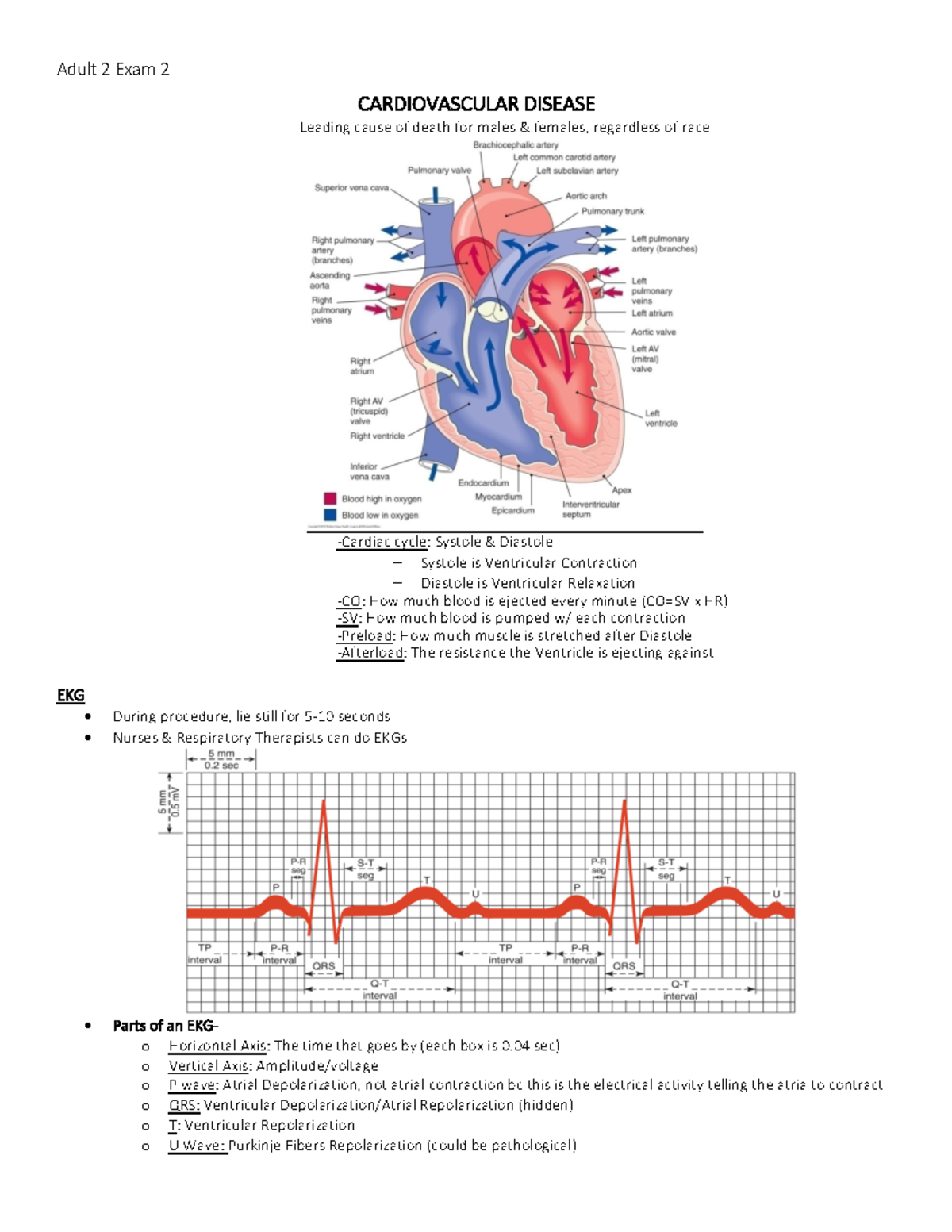 Cardiac Study Guide - Adult 2 Exam 2 CARDIOVASCULAR DISEASE Leading ...