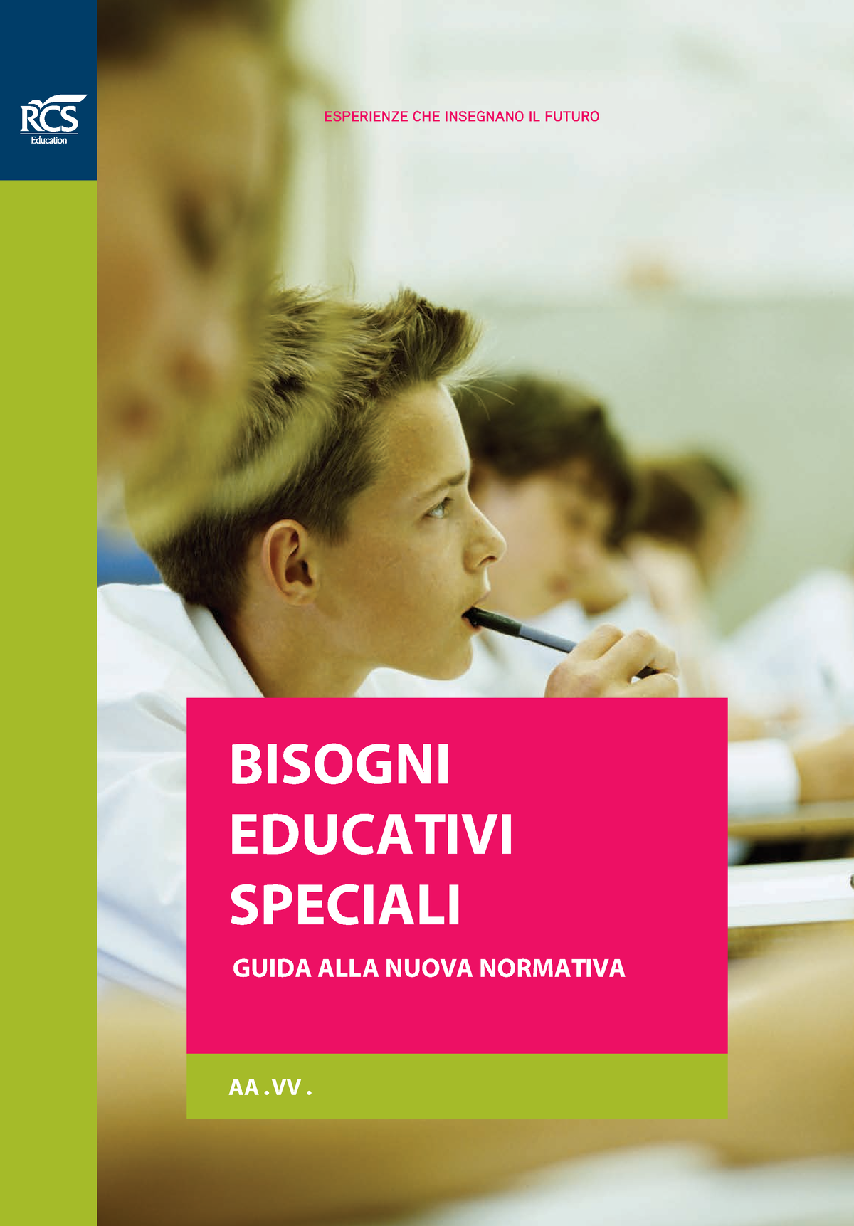 BES Guida Normativa - SUMMARY - BISOGNI EDUCATIVI SPECIALI GUIDA ALLA ...