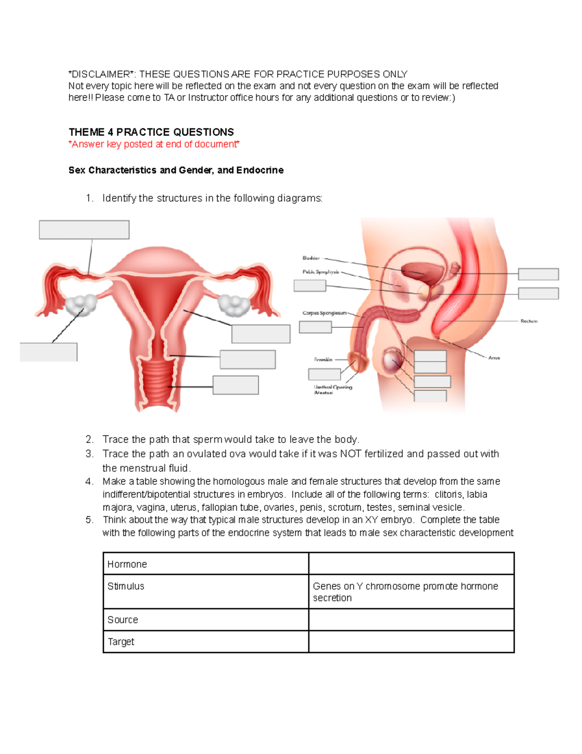 essay questions on reproductive system