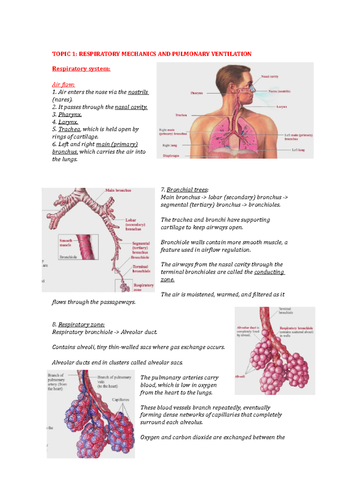 Summary - Module 4- topic 1-4 - TOPIC 1: RESPIRATORY MECHANICS AND ...