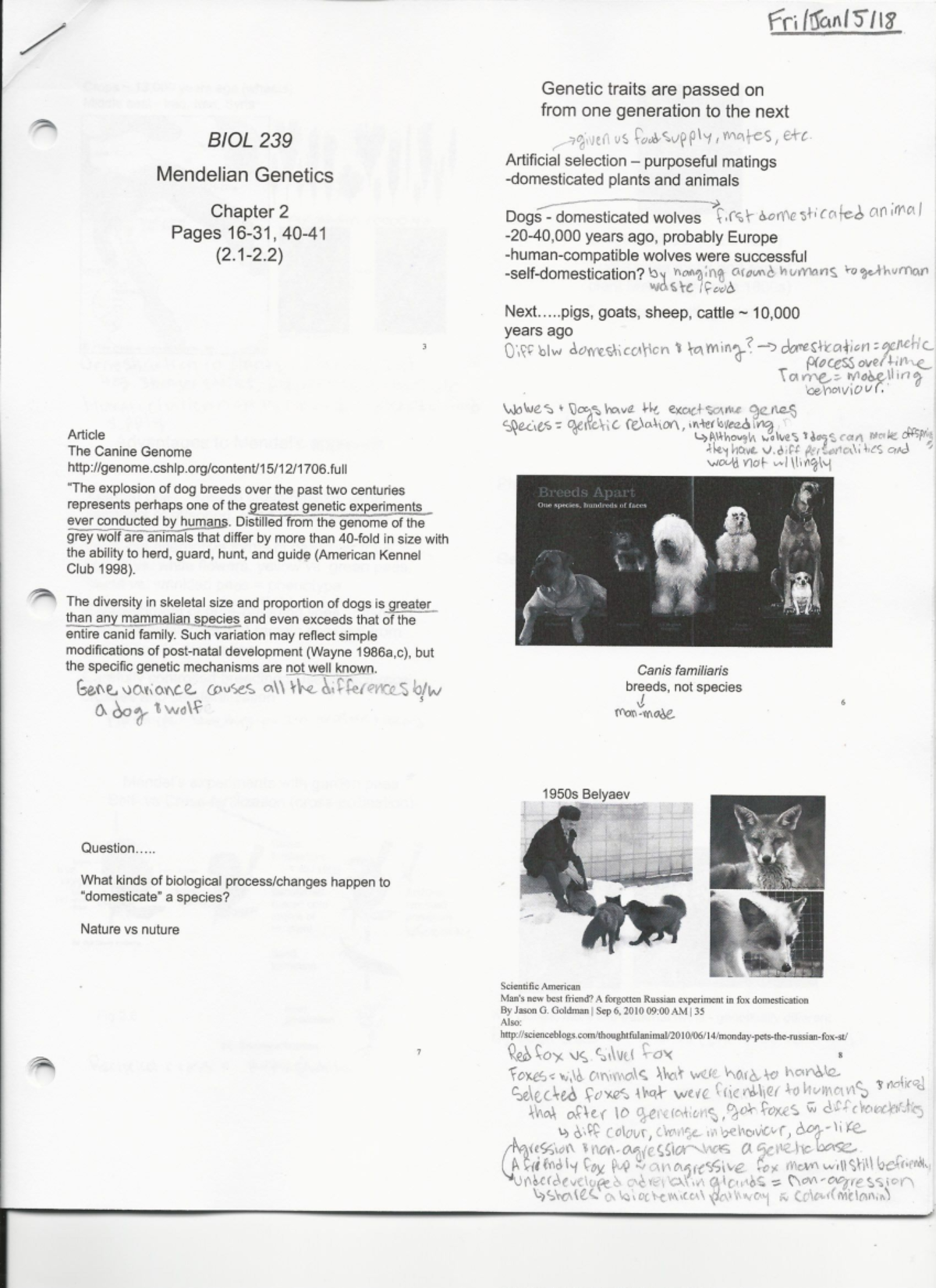 Set 2 Mendelian Genetics Biol 239 Studocu   Thumb 1200 1650 