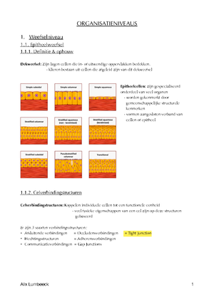 anatomie-samenvatting-vlakken-bewegingen-flexie-buigen-anteflexie