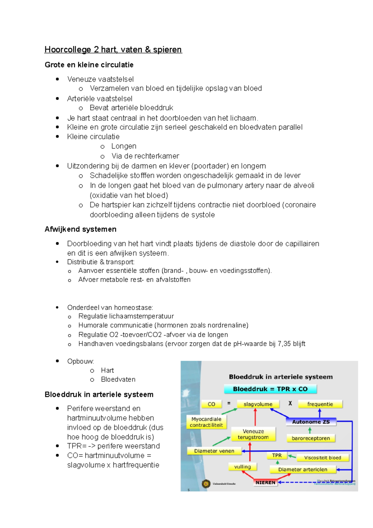 Aantekeningen Hoorcollege 2 Van FA-BA106 - Hoorcollege 2 Hart, Vaten ...