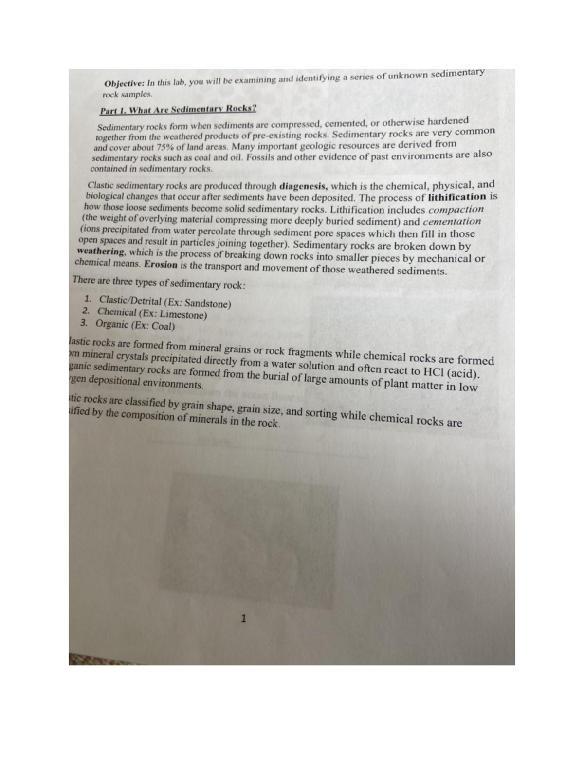 GEOL 1010 Lab- Sedimentary Rocks - Object Ve: In Rock Samples. Part 1 ...