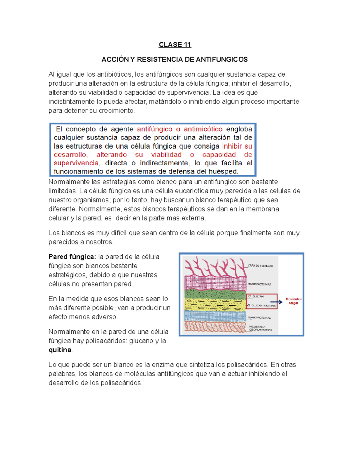 antifúngico funcionamiento
