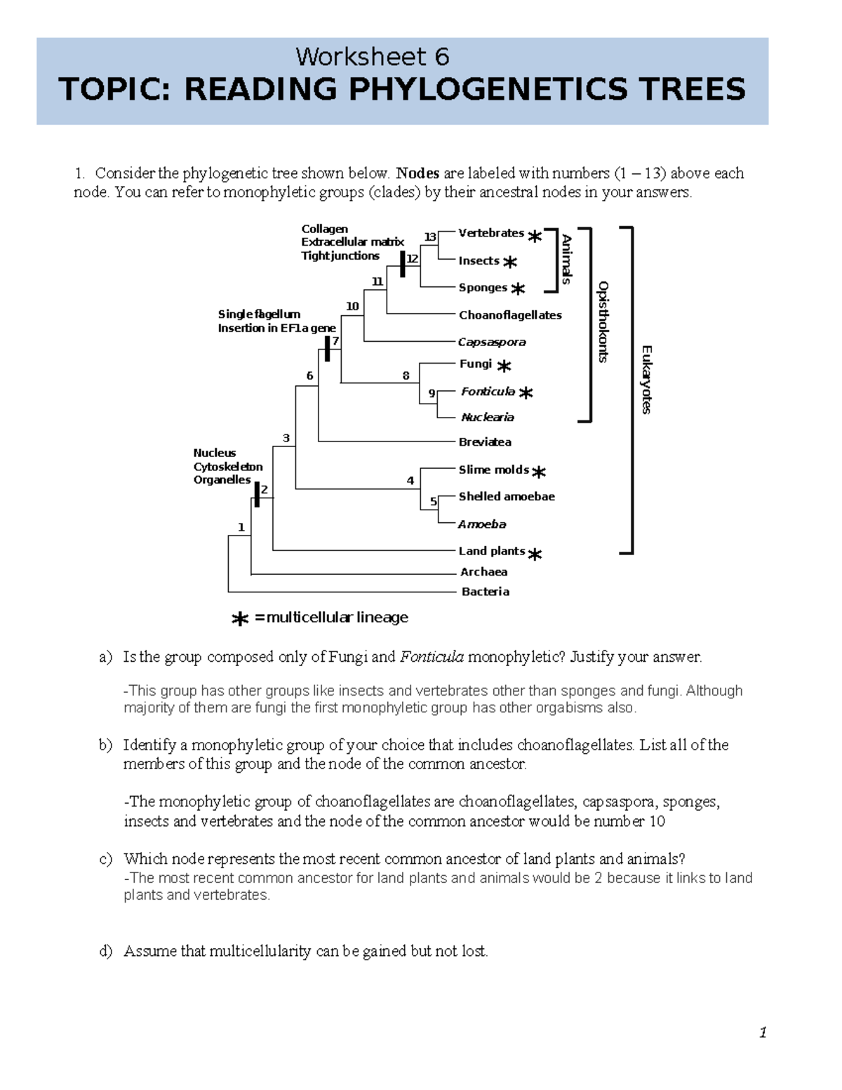 Worksheet 9 Reading Phylogenetic Trees UBC Biology 121 Name