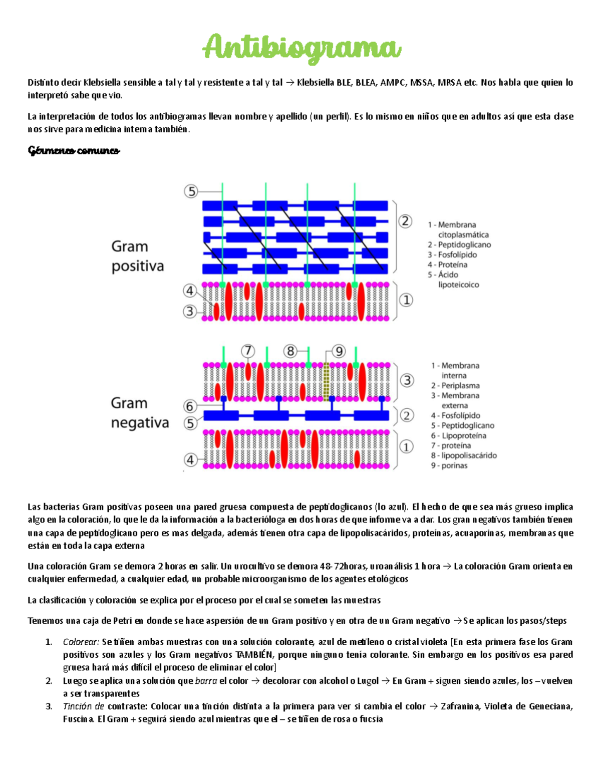 13. Antibiograma - notes - Antibiograma Distinto decir Klebsiella ...