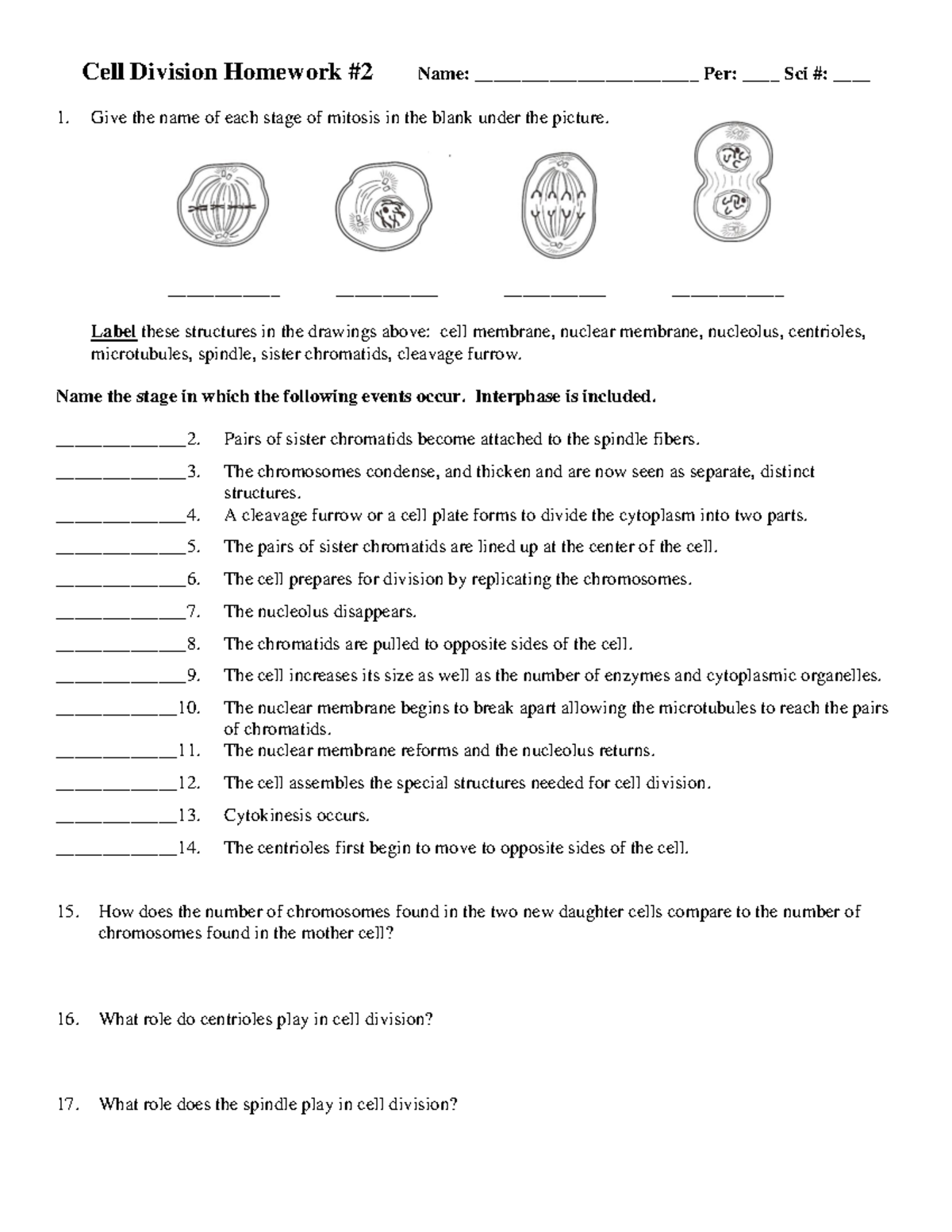 Cell Division homework 2 - Mitosis - Cell Division Homework #2 Name