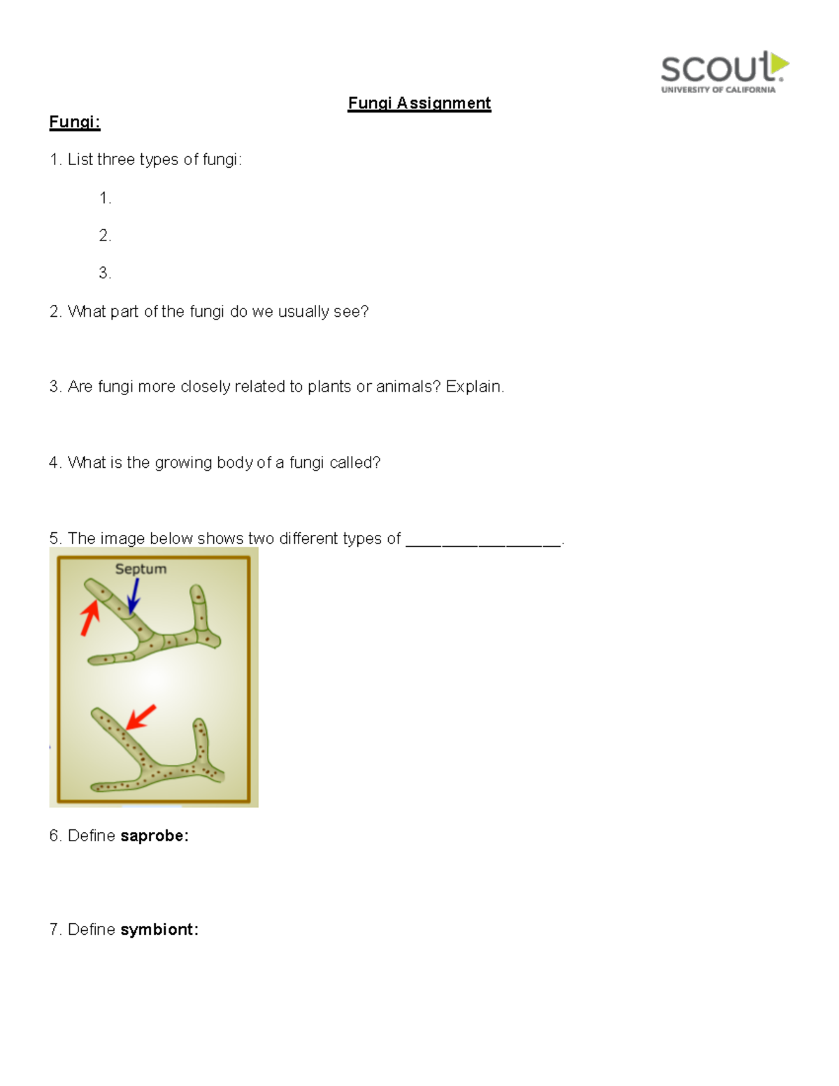 Bio Assignment 2.5.1a Fungi - Fungi Assignment Fungi: List three types ...