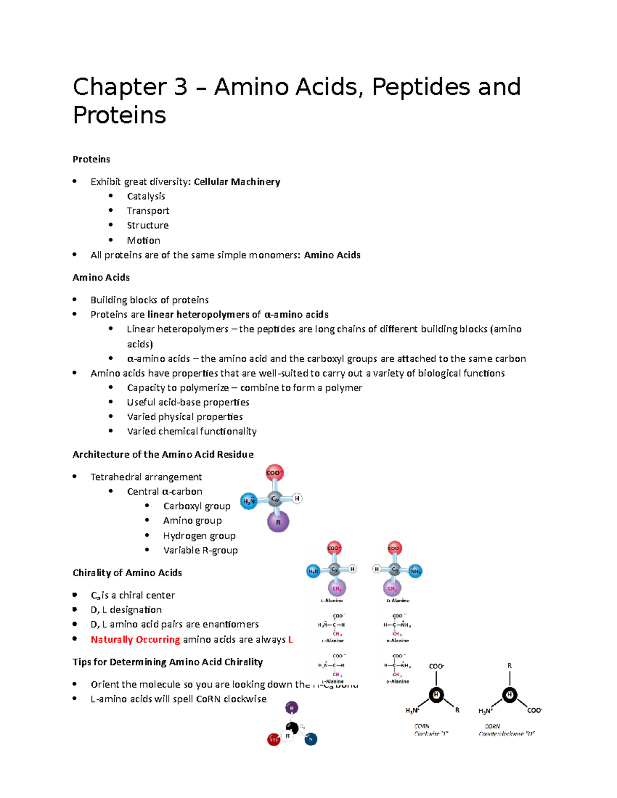 Biochemistry Chapter 3 Notes - Chapter 3 – Amino Acids, Peptides and ...