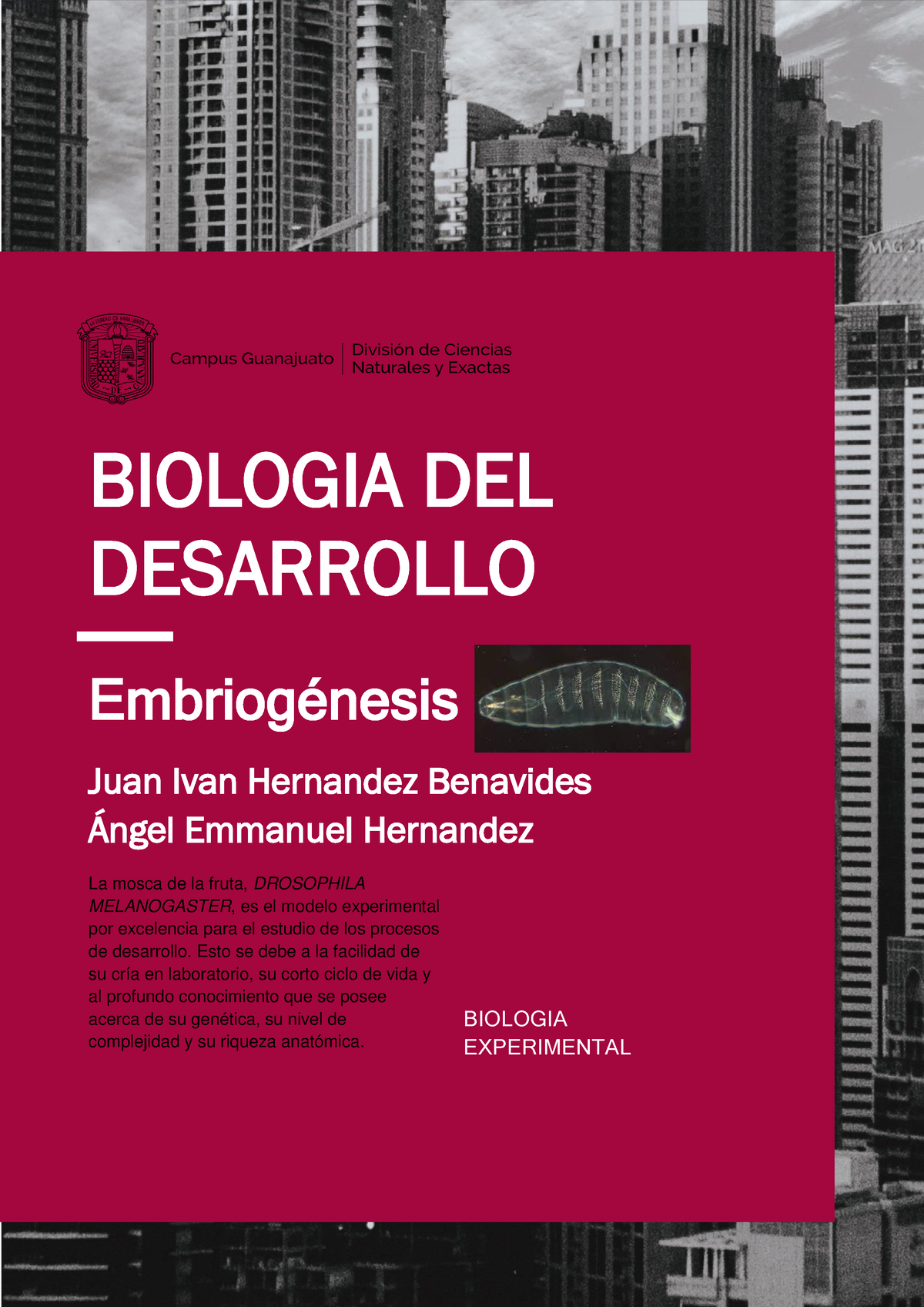 Practica 4 biologia del desarrollo - 1 Embriogénesis BIOLOGIA DEL ...