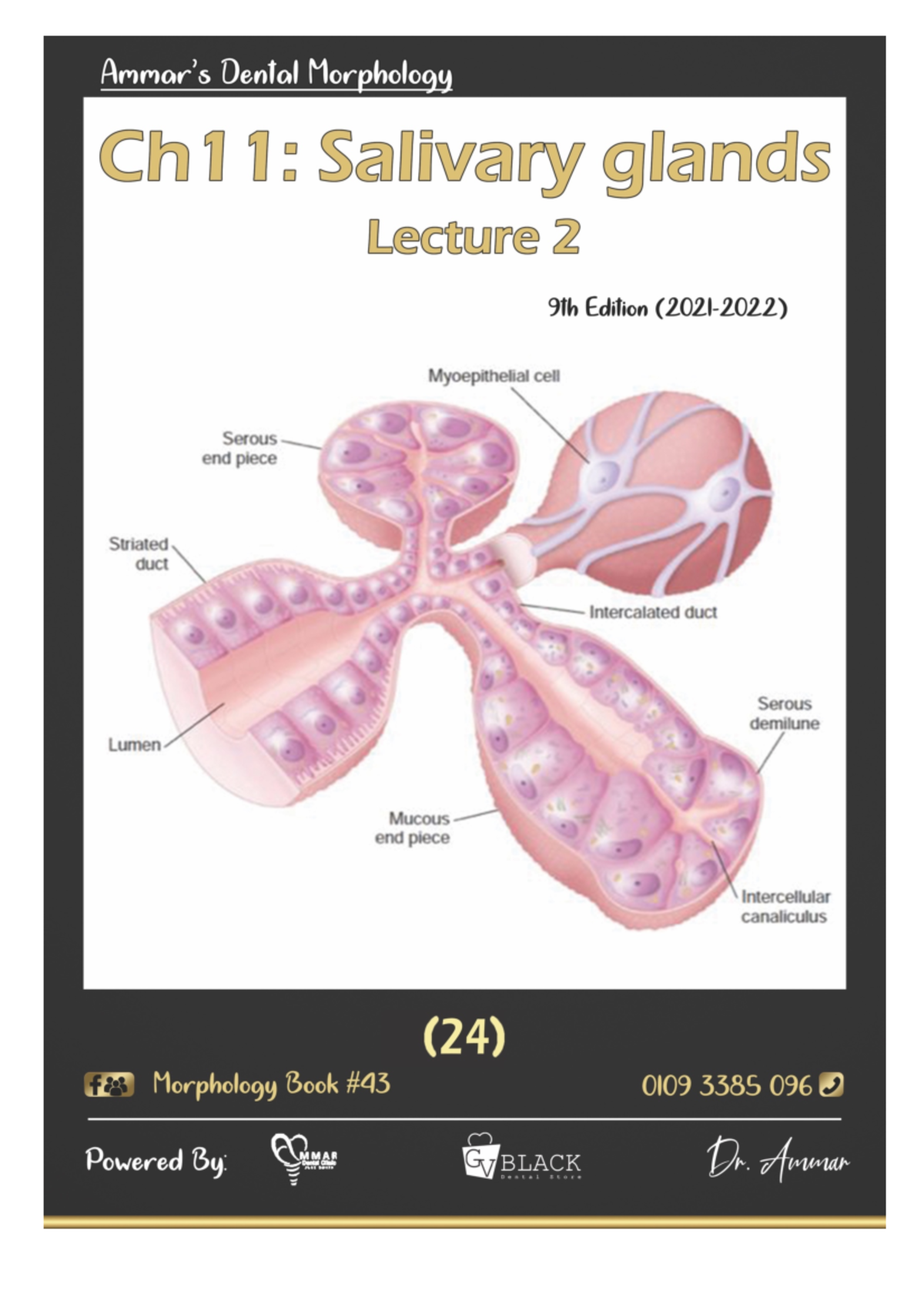 11 Salivary glands 2 Oral biology Contents 1Definition 2