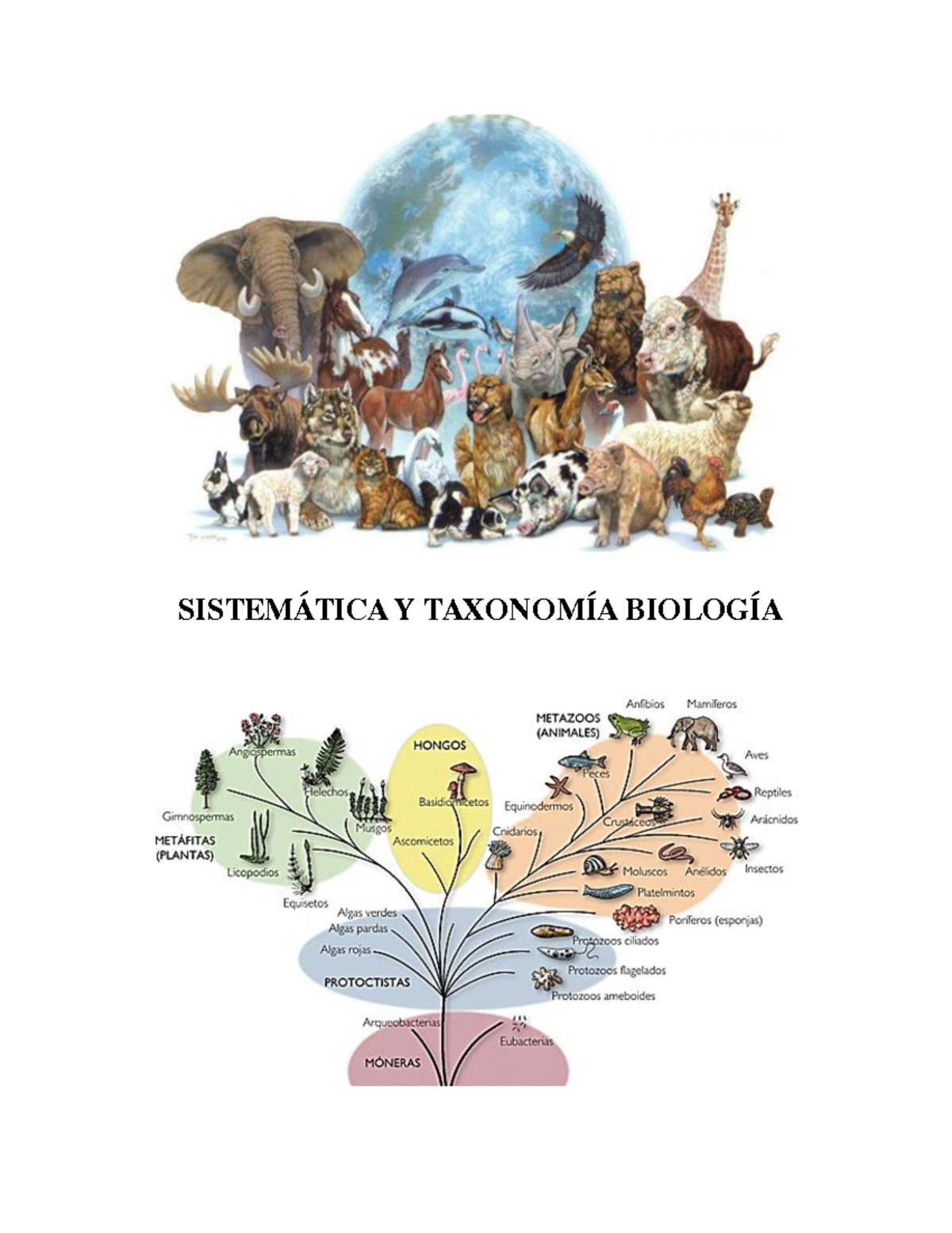 Sistemática Y Taxonomía Biología SISTEMÁTICA Y TAXONOMÍA BIOLOGÍA